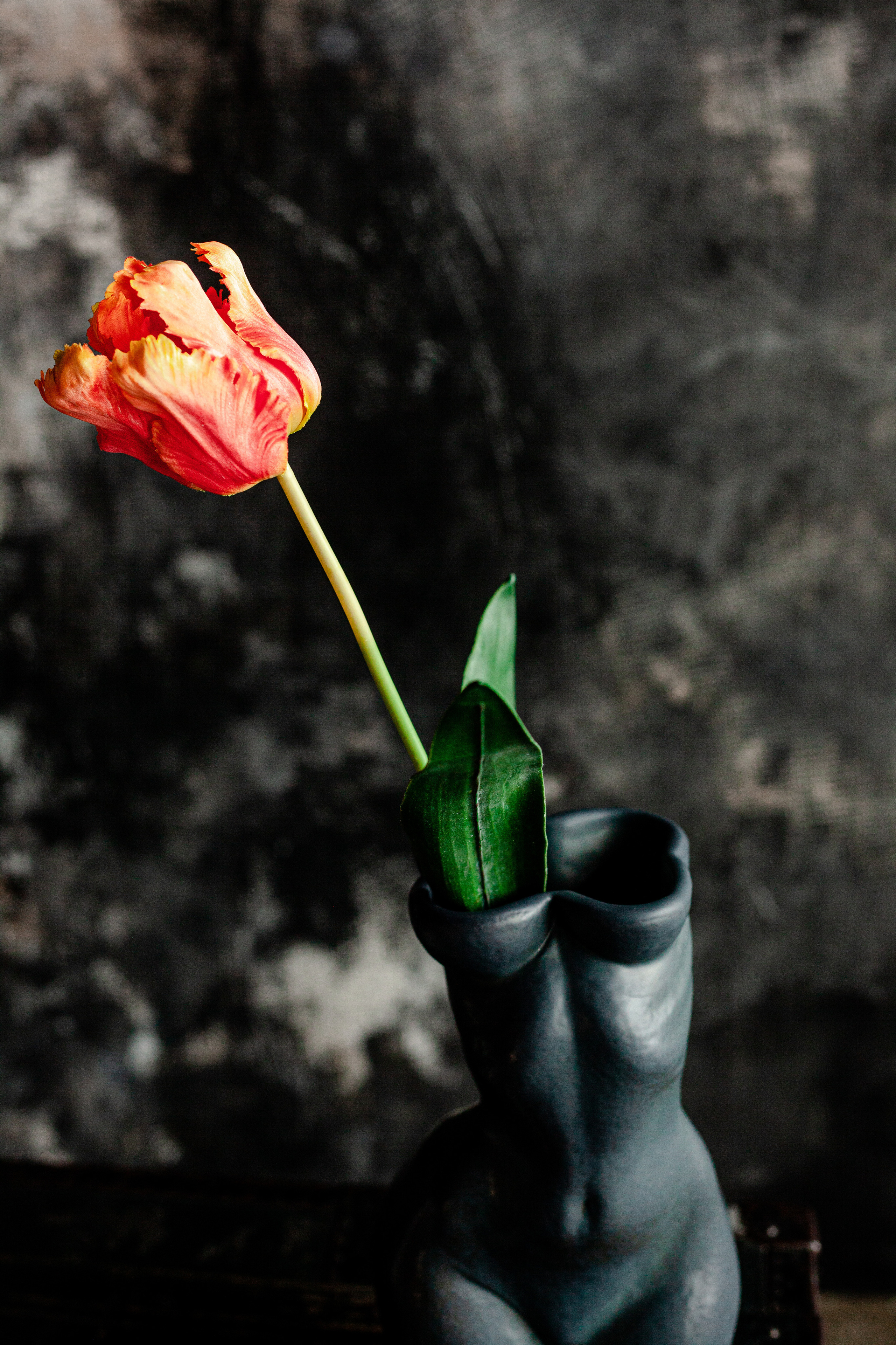 Предметная съёмка. Фотограф Арина Виногородская