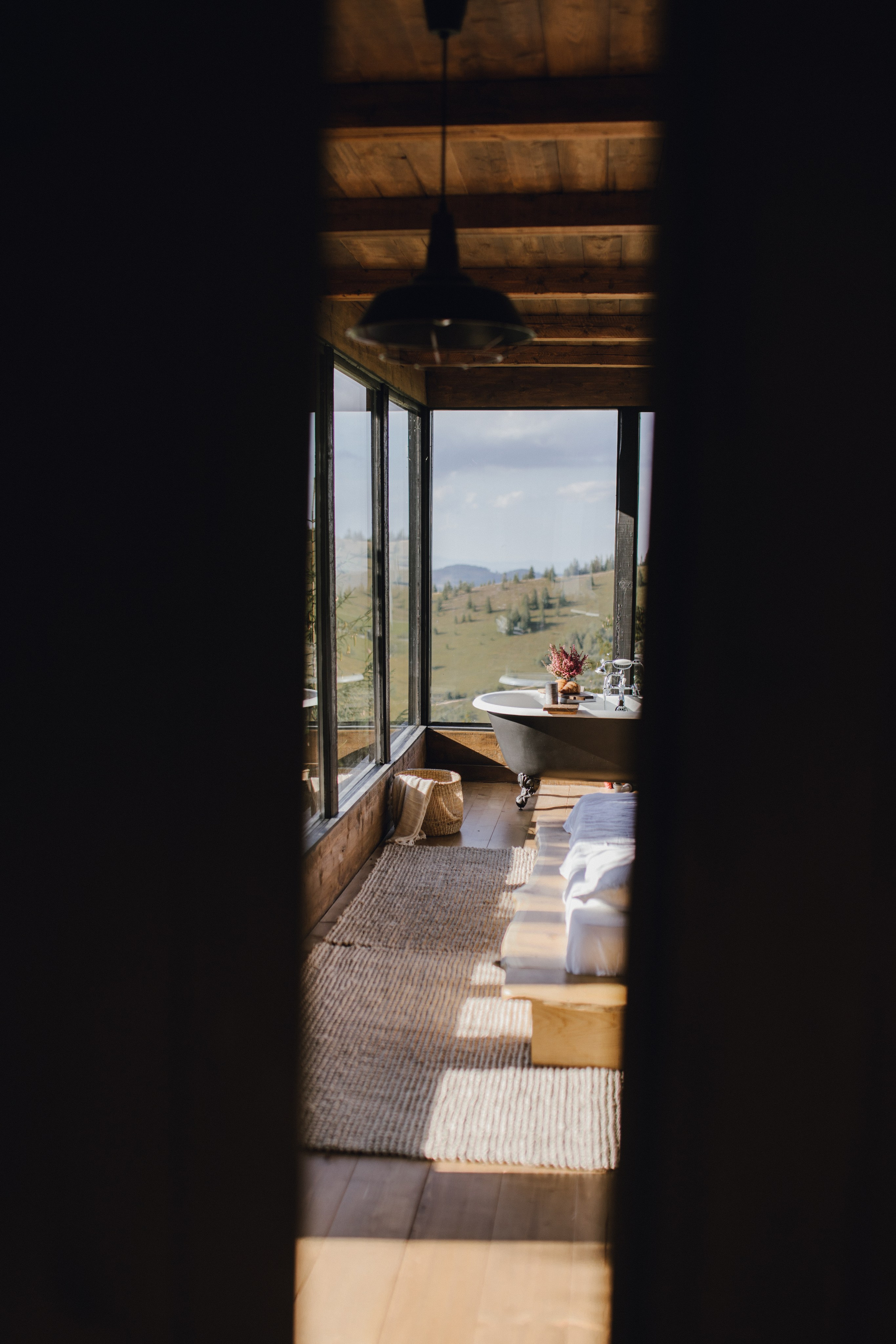 Flowers. Patricia Morenci — Mountain Adventures for the Wild at Heart