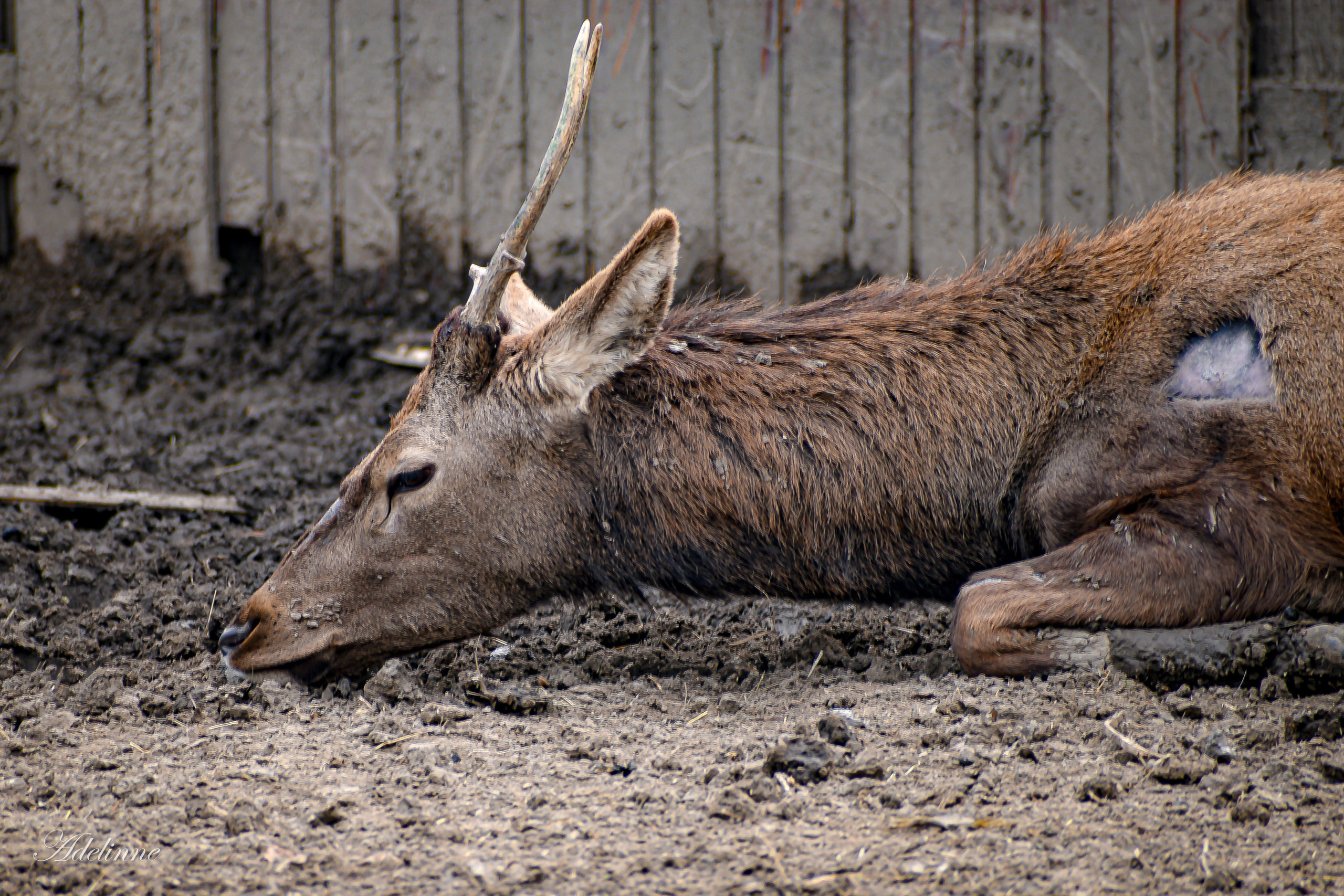 Nature❤️. Adelinne