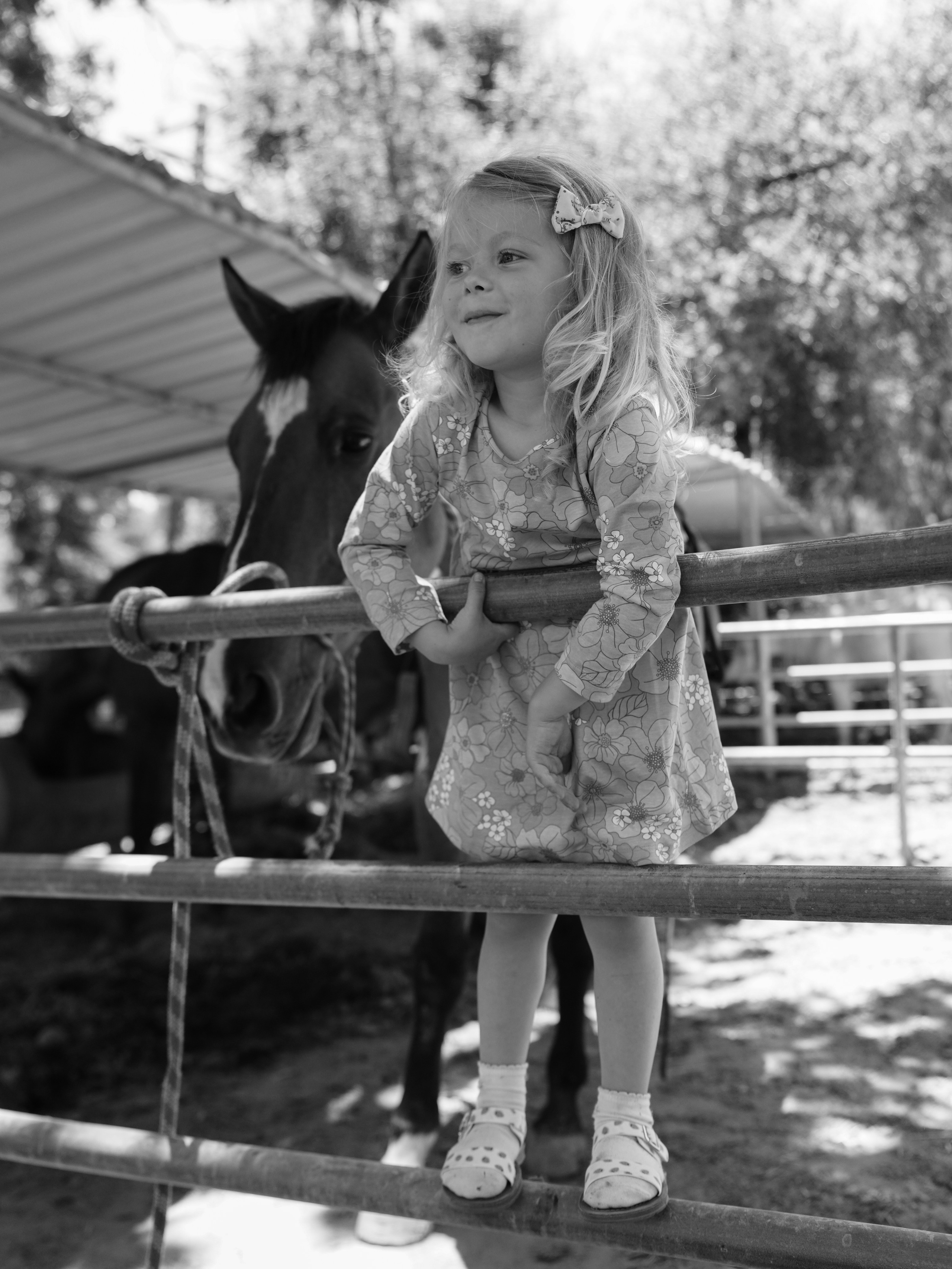 Children with horses. Фотограф и видеограф в США (и по всему миру) — Татьяна Иванова