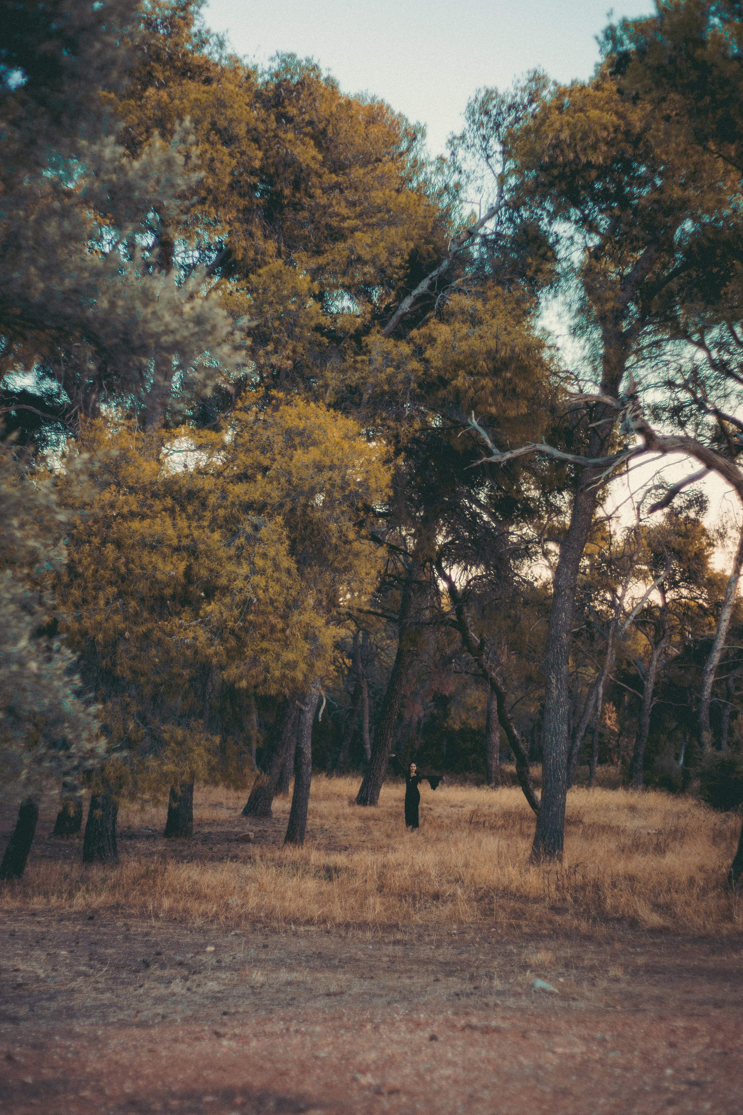 Nadia as the Forest witch. Wedding & Portrait Photographer in Athens, Greece | Kristina Gaisina