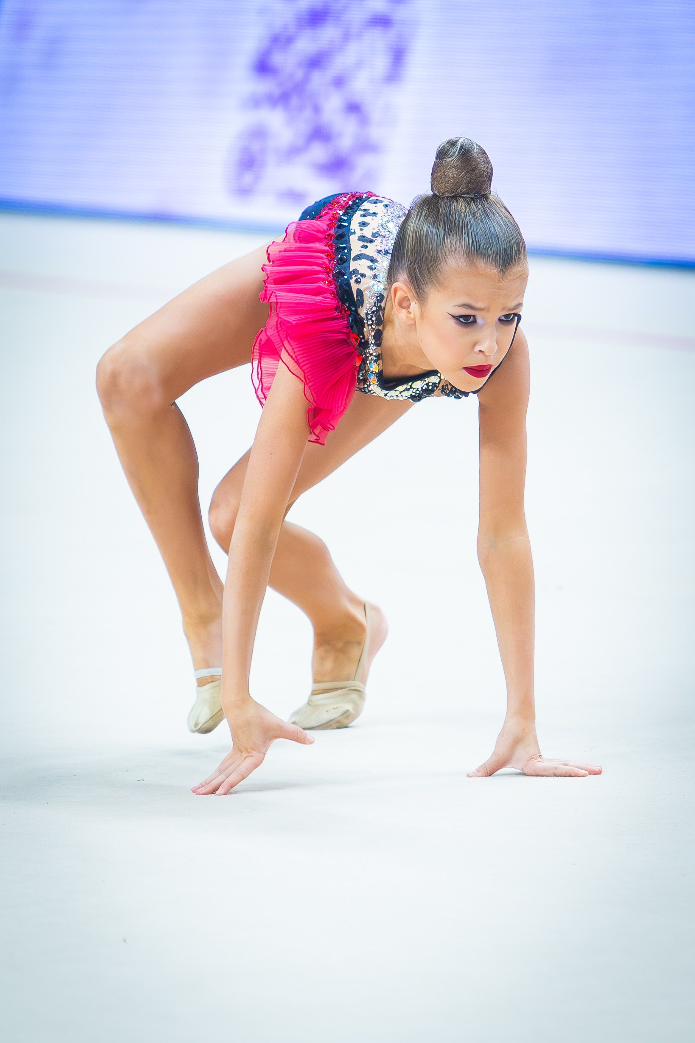 Галерея 2. Спортивная фотография, видео, трансляции