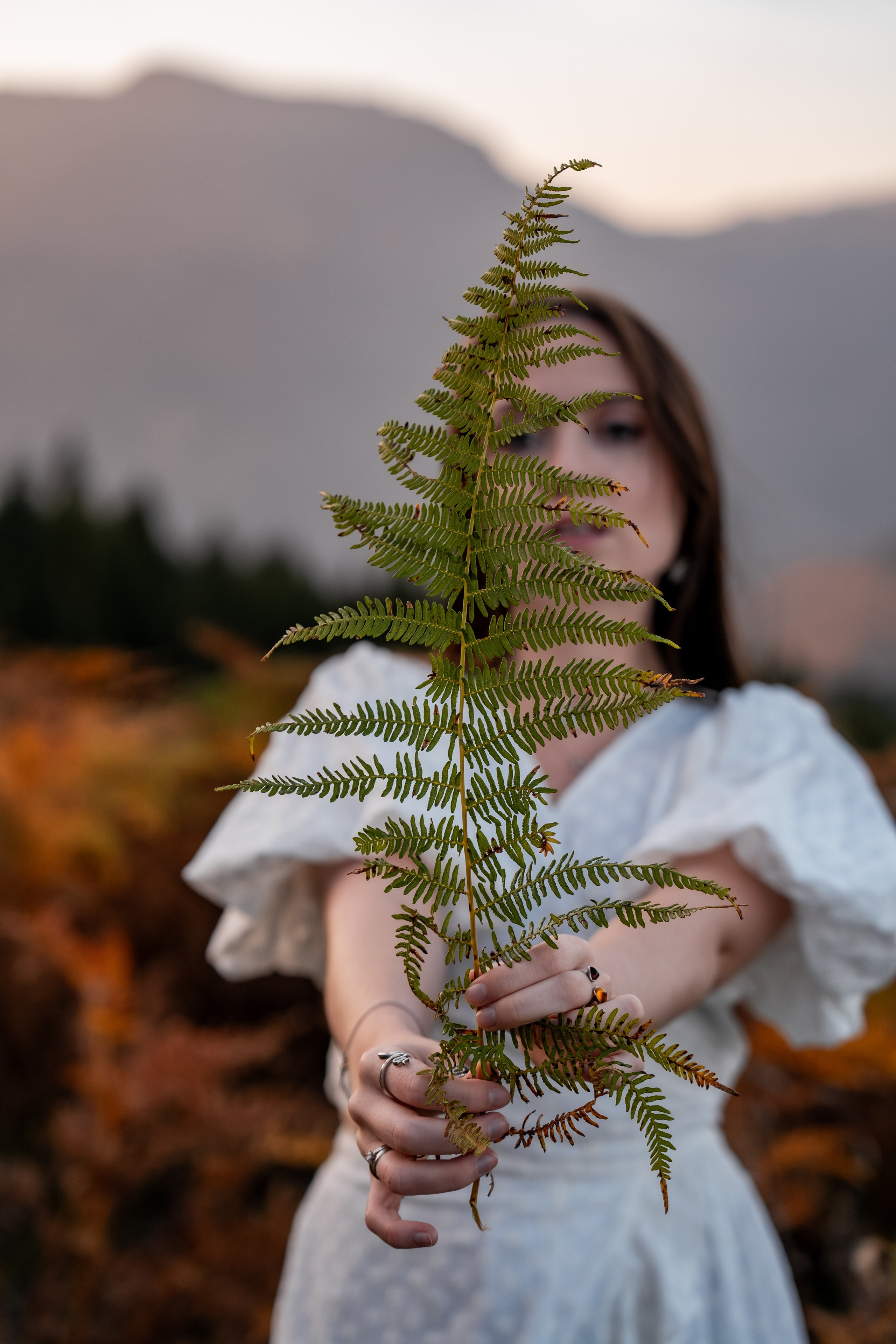 Golden Autumn. Ekaterina Verbitskaya. Photography
