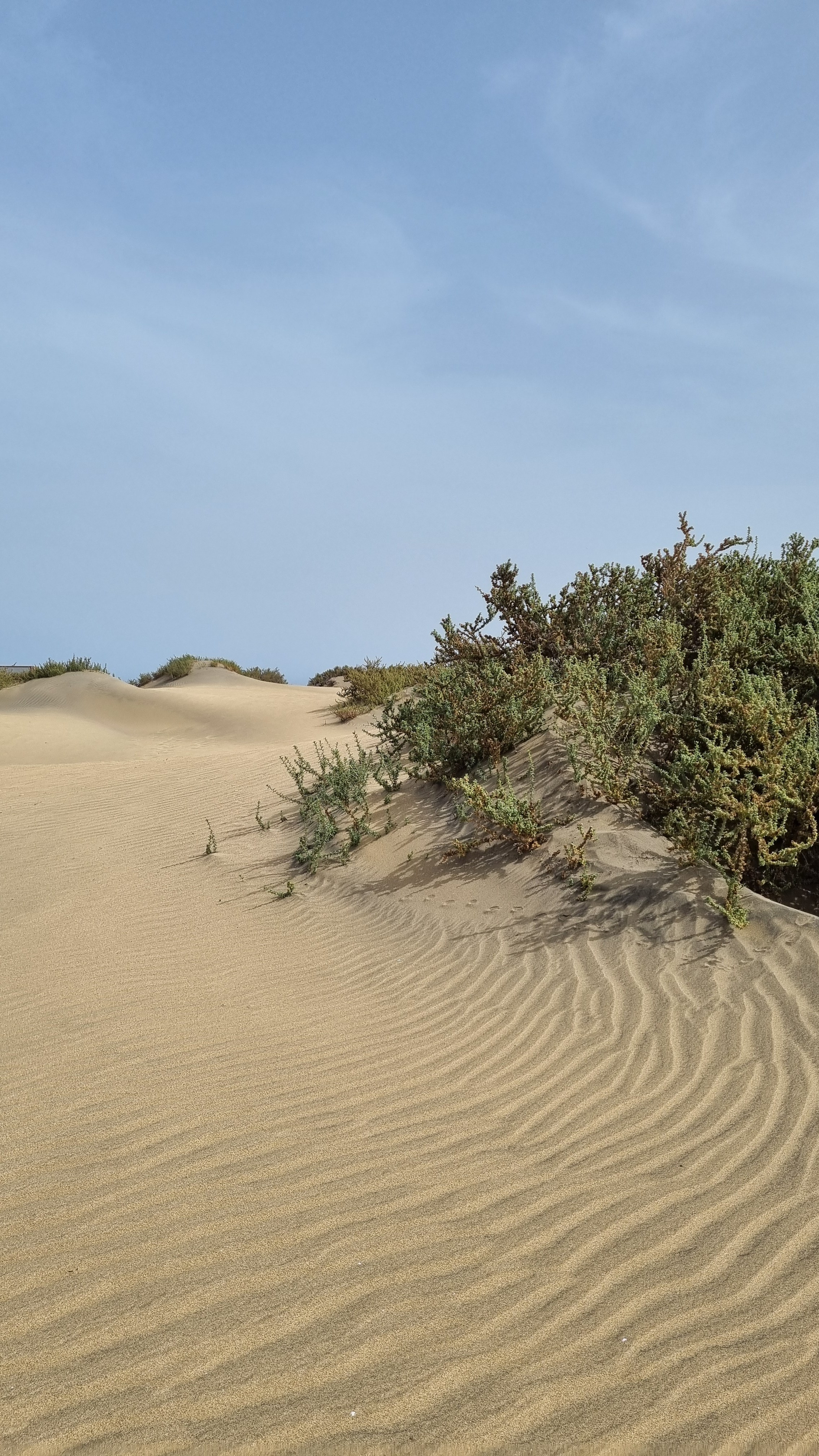 Gran Canaria 2024. Марина фотограф из Нюрнберга