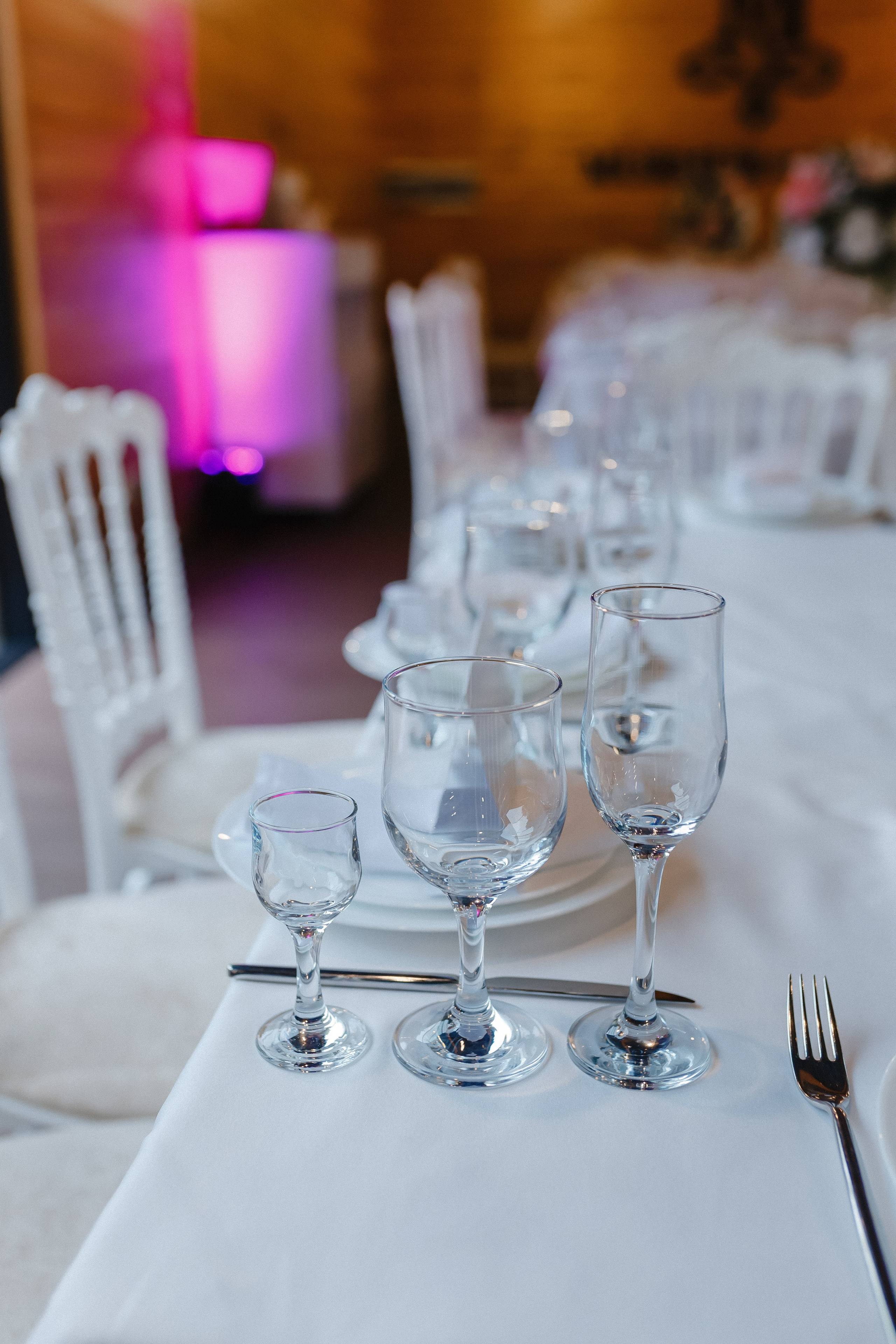 Viorel & Carolina. Standart Studio - Servicii foto video pentru nuntă în Moldova Chișinău