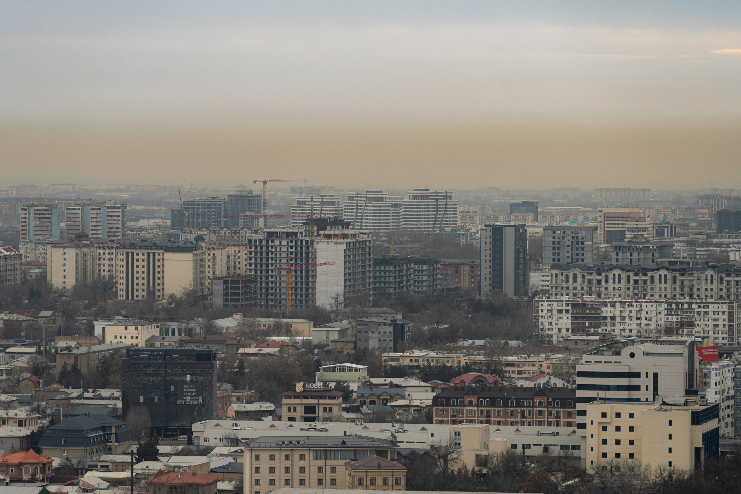 Смог в Ташкенте или Взгляд на город с высоты птичьего полета. Георгий Намазов | Фотограф в Ташкенте