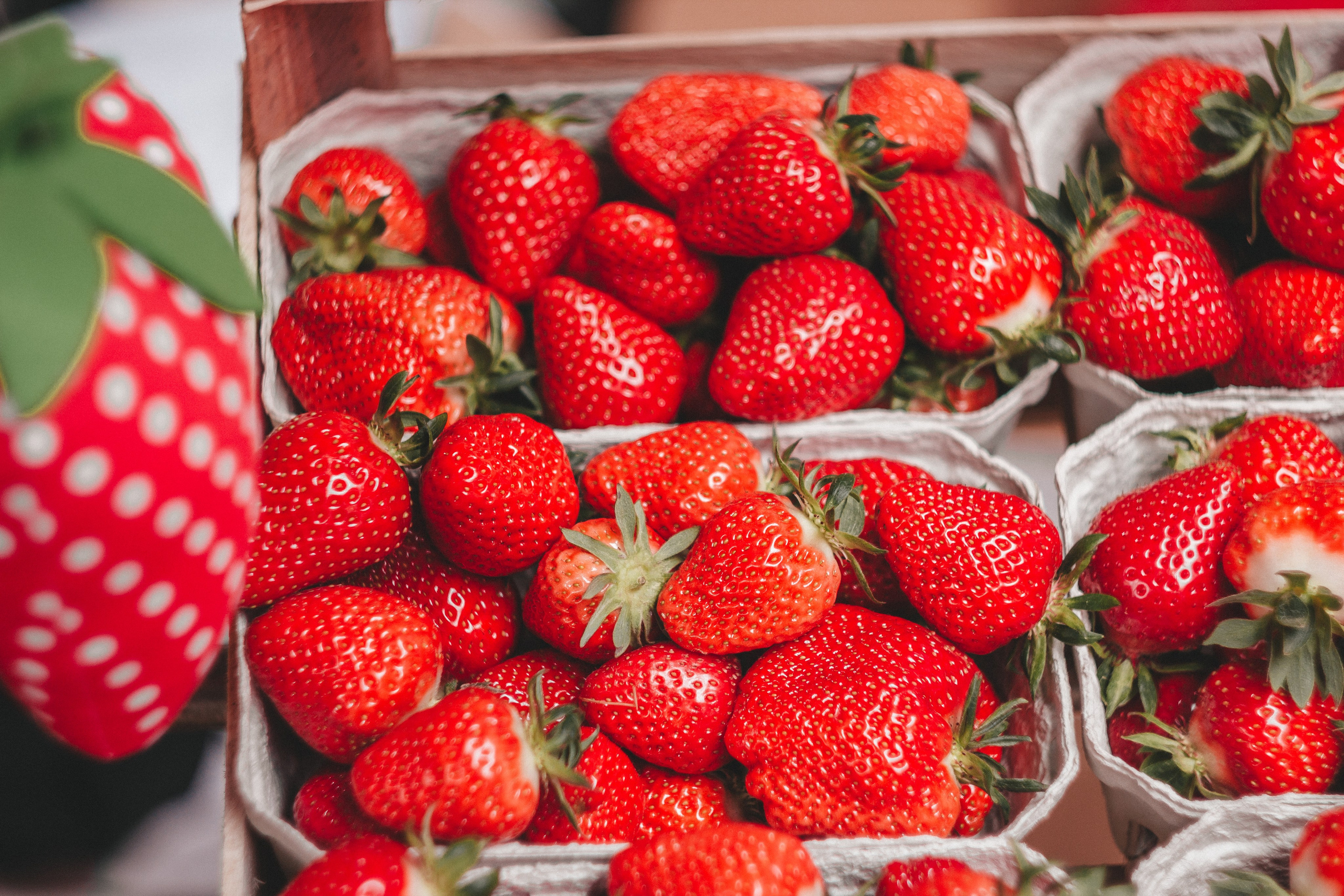 Oberkircher Erdbeerfest. Maria Chistyakovа — Fotografin in Karlsruhe, Baden-Baden und Umgebung