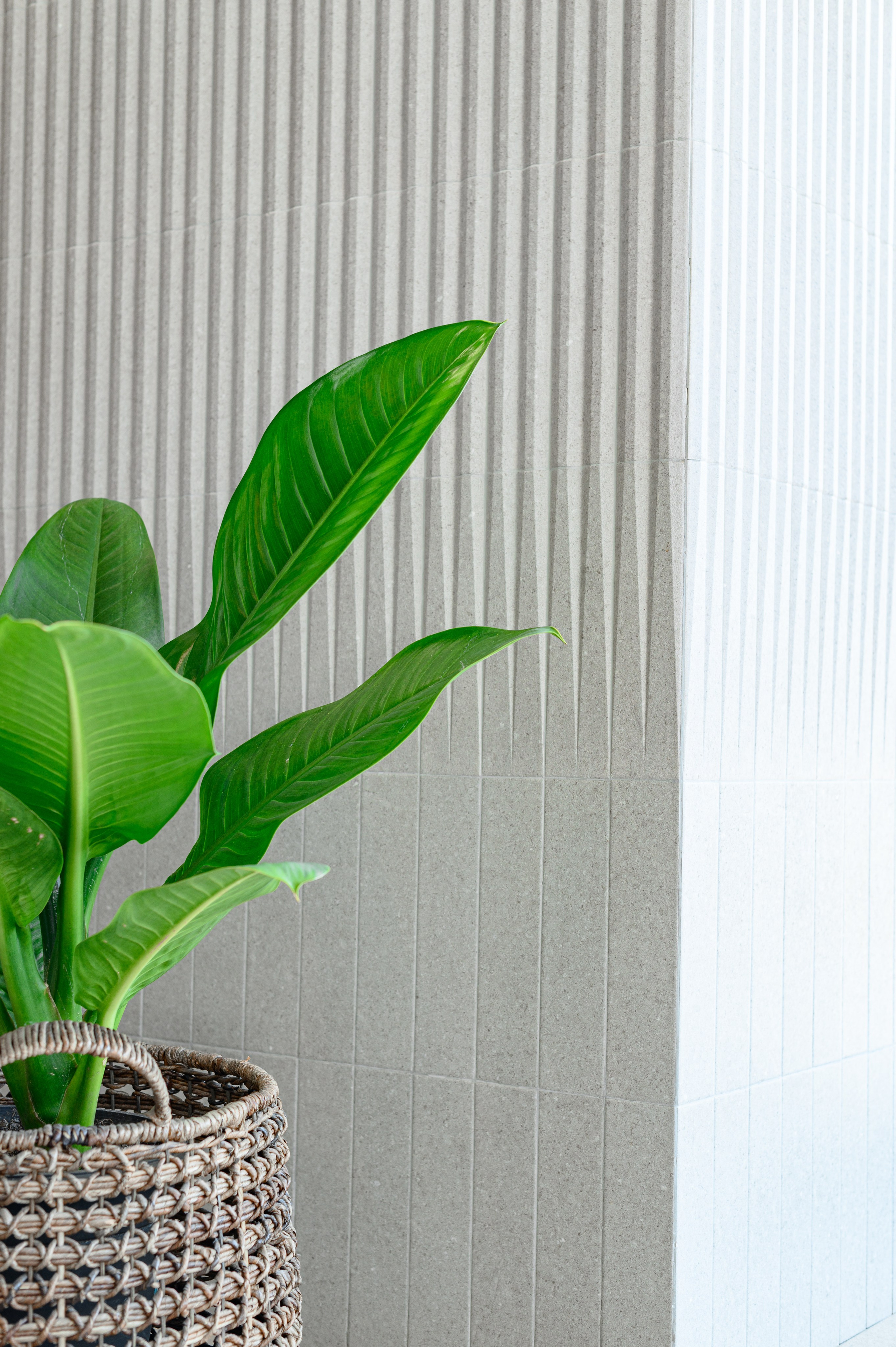 Arquitectura. Tania Tovar Fotografia