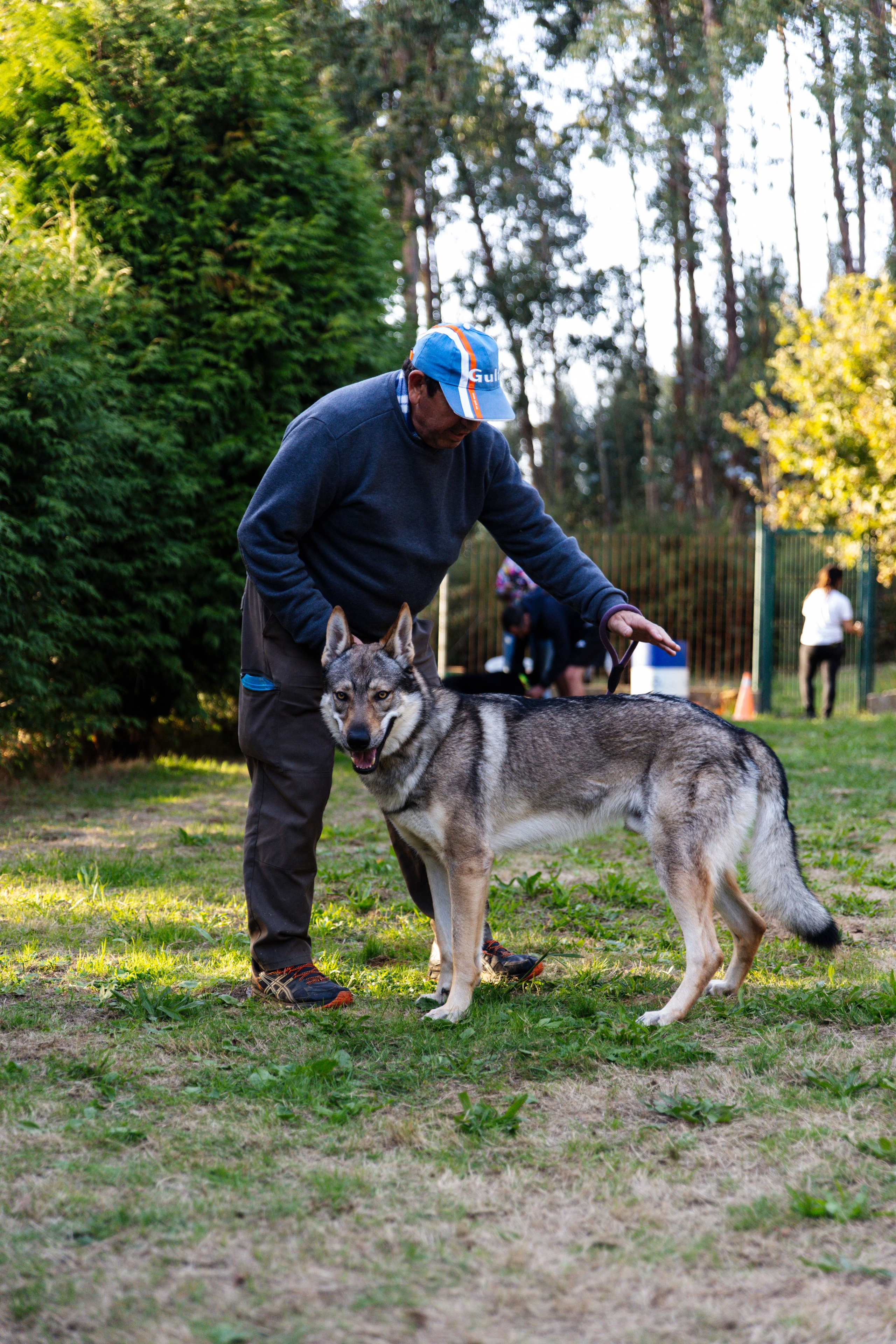 Sesiones fotográficas a mascotas. RabelByCris Fotógrafa en Coruña de Eventos, sesiones, mascotas
