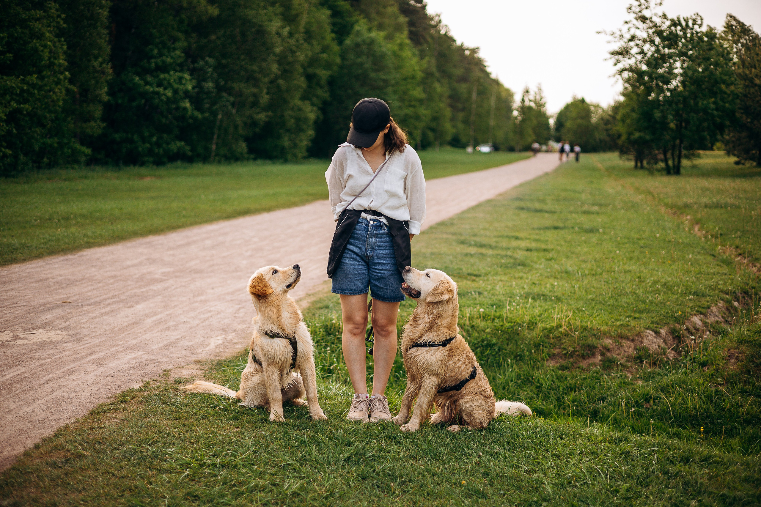 Настя, Арчи, Арагон. Фотограф-анималист | Белград