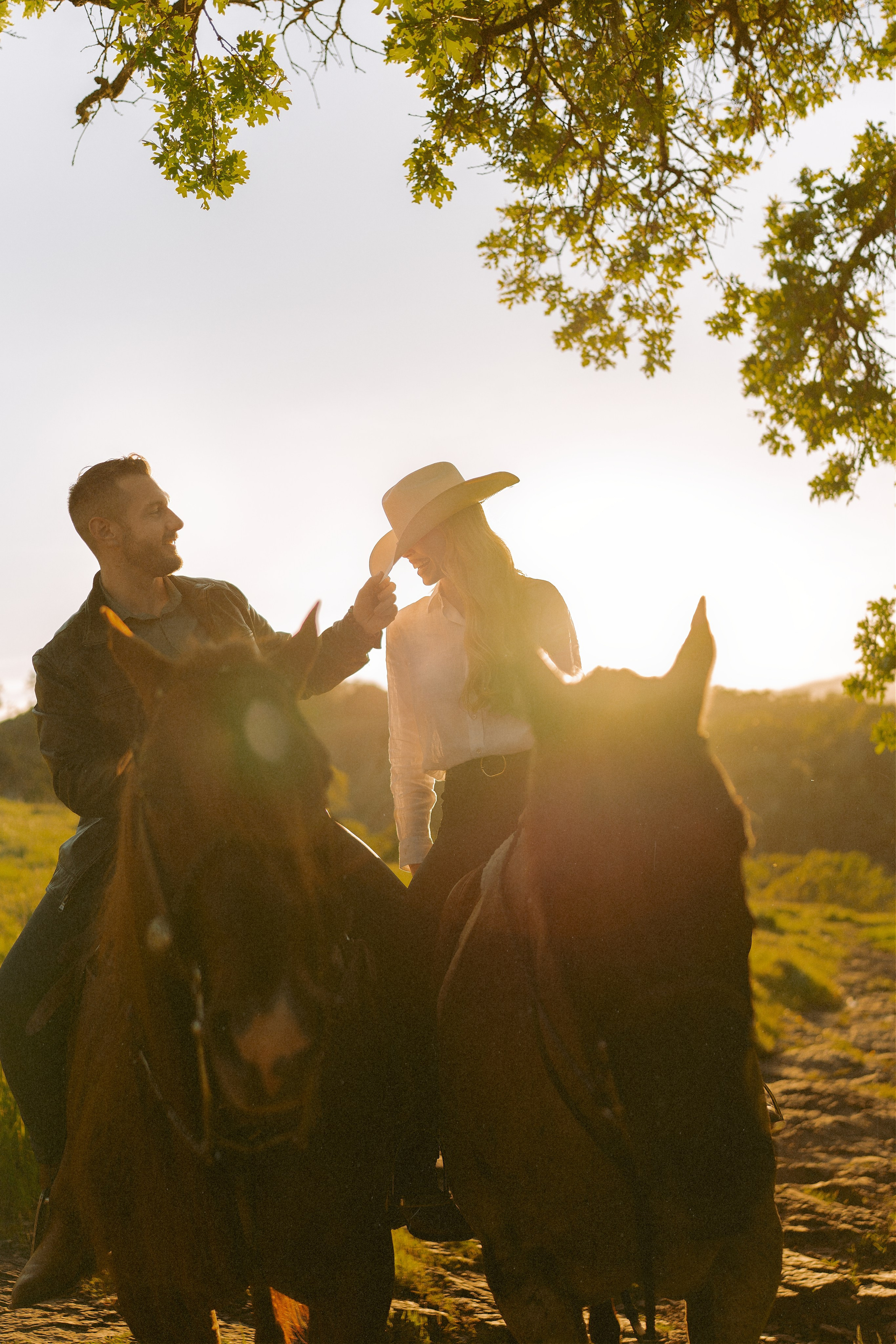 Engagement with Horses, Napa, Northern California. Wedding Photography & Videography Team in California, Los Angeles, San Francisco, San Diego and Travel