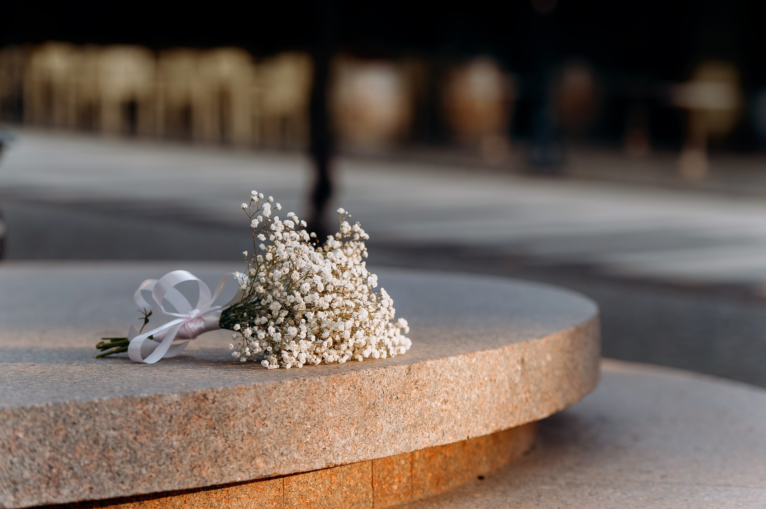 Liubovi & Vitalii. Wedding photographer from Moldova Alexey Chipchiu