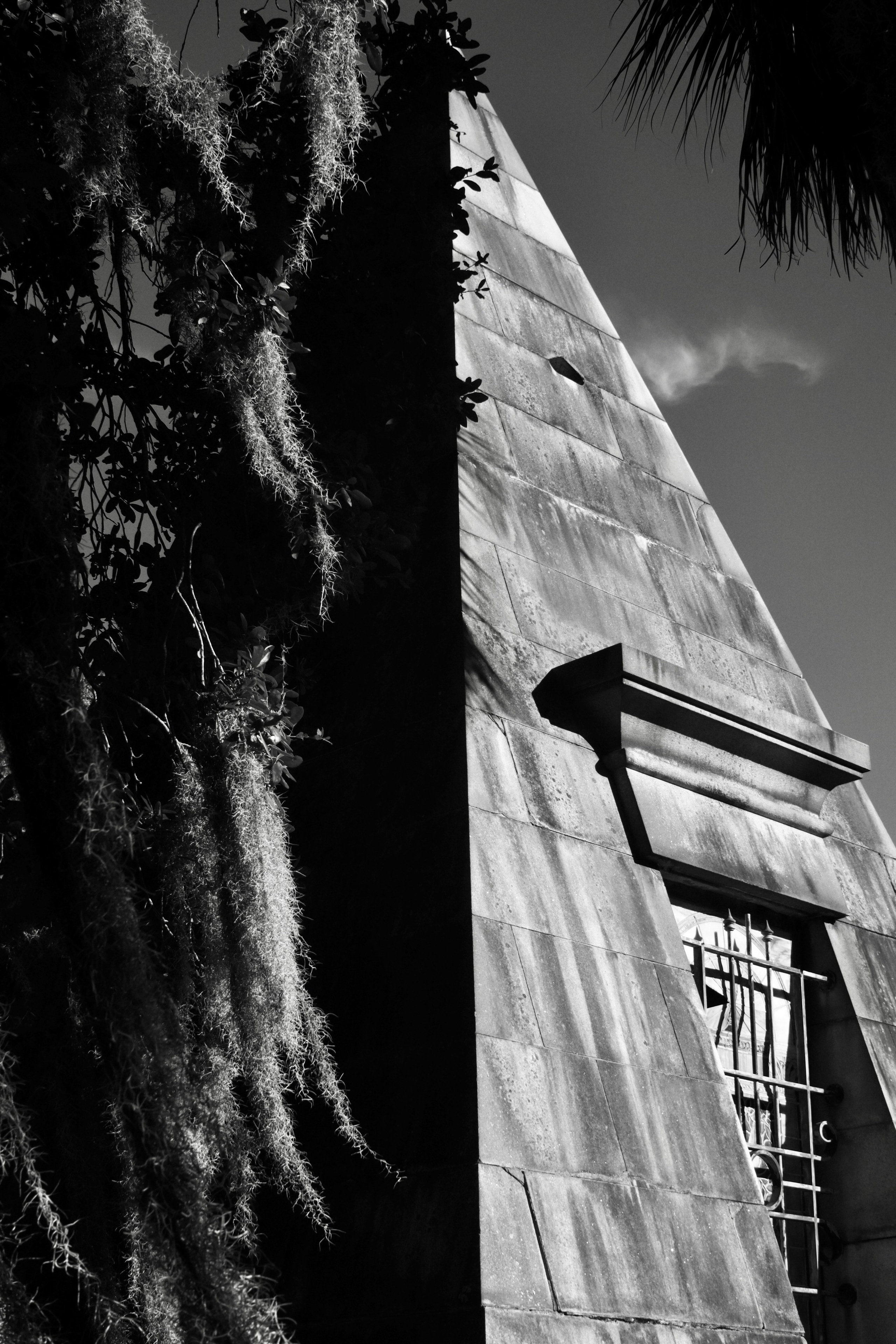 Monochrome. Sonny Photos