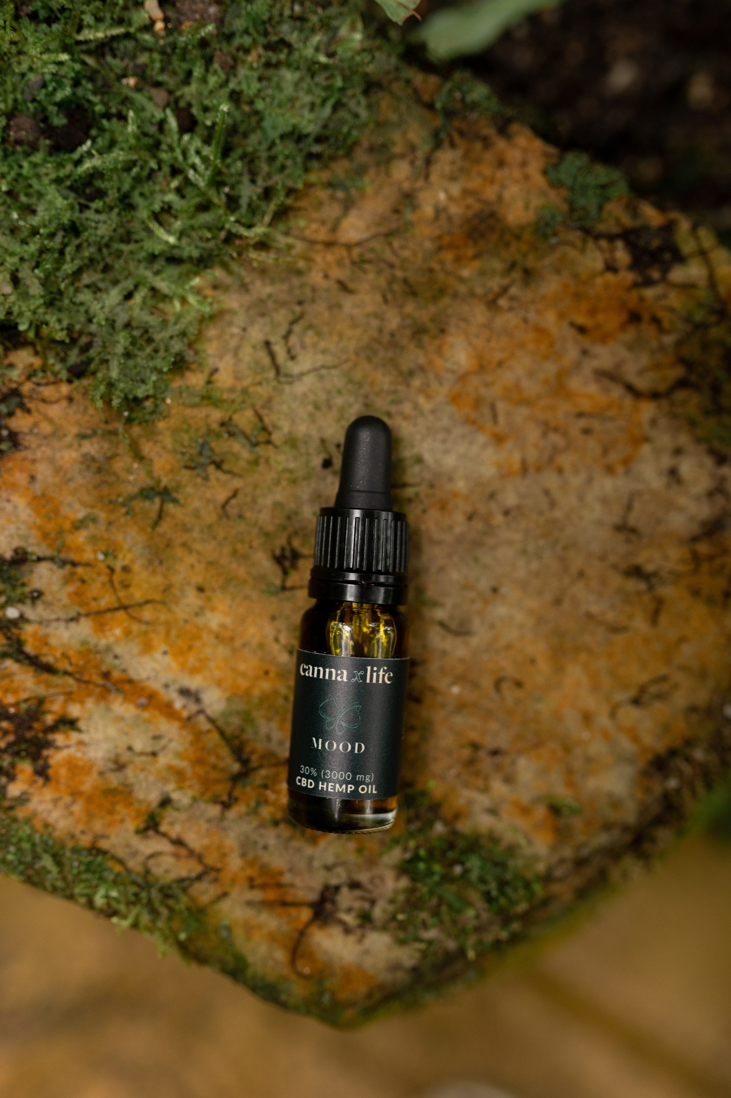 CannaXlife CBD products. ANNA-MARIA PHOTO CONTENT CREATOR — фотограф, эстет, художник и визуальный эксперт в Instagram, работающий в Праге