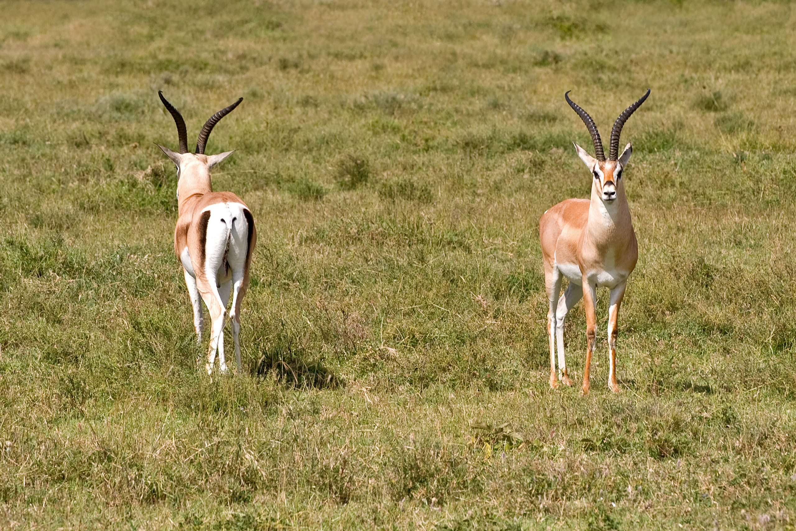 ТРЕВЕЛ. Фотограф и преподаватель фотографии в Белграде