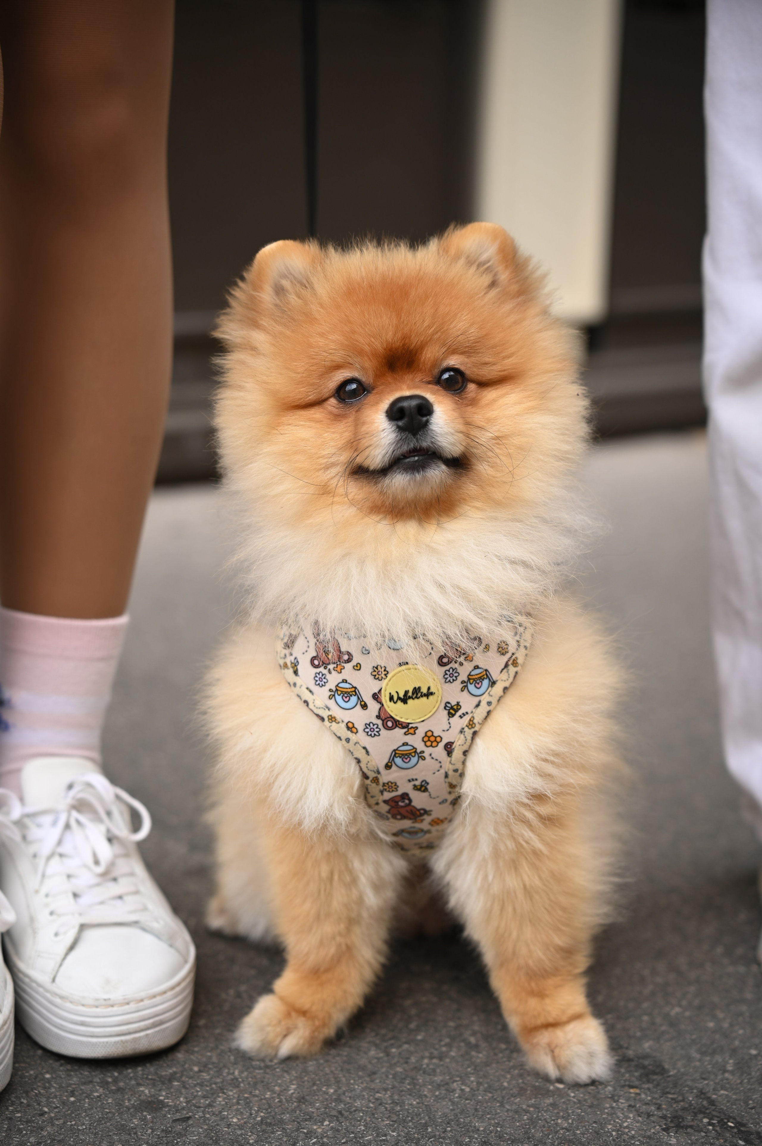 Lena and girls. Photo Vienna and Bratislava