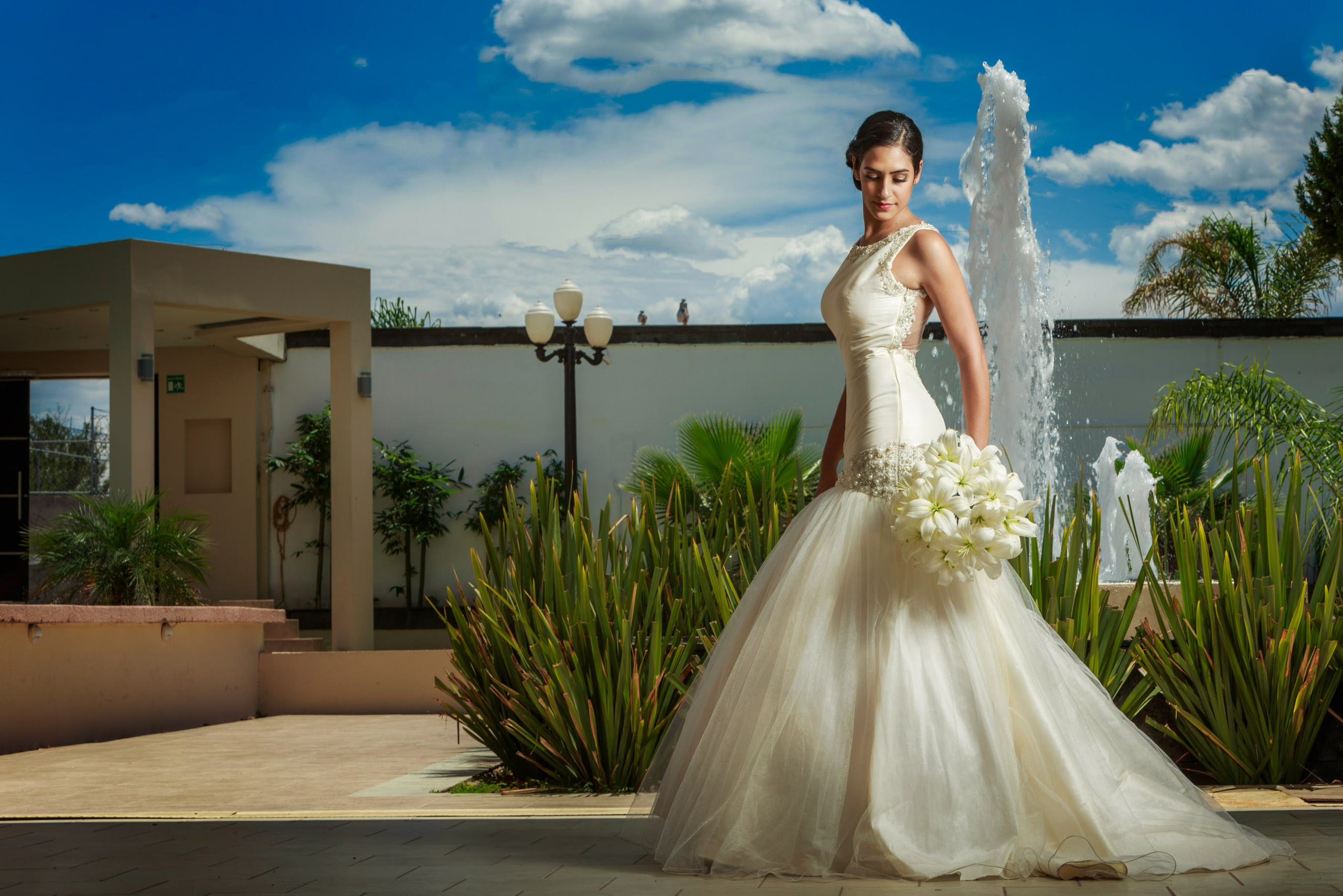Wedding. Professional Photographer in Chihuahua, Mexico — Alex Mendoza
