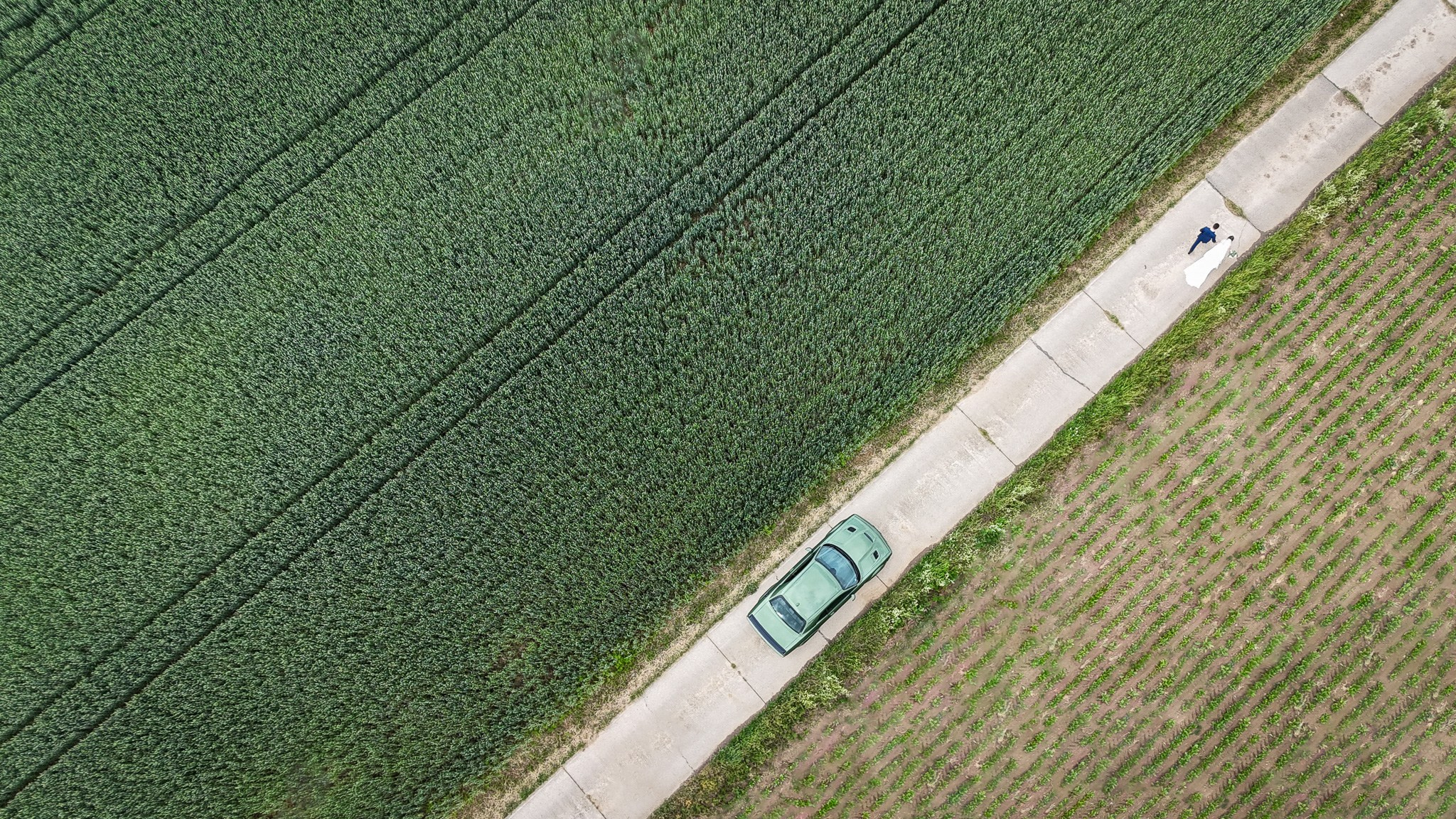 Artjom and Alex. Wedding photography — EMU Photos