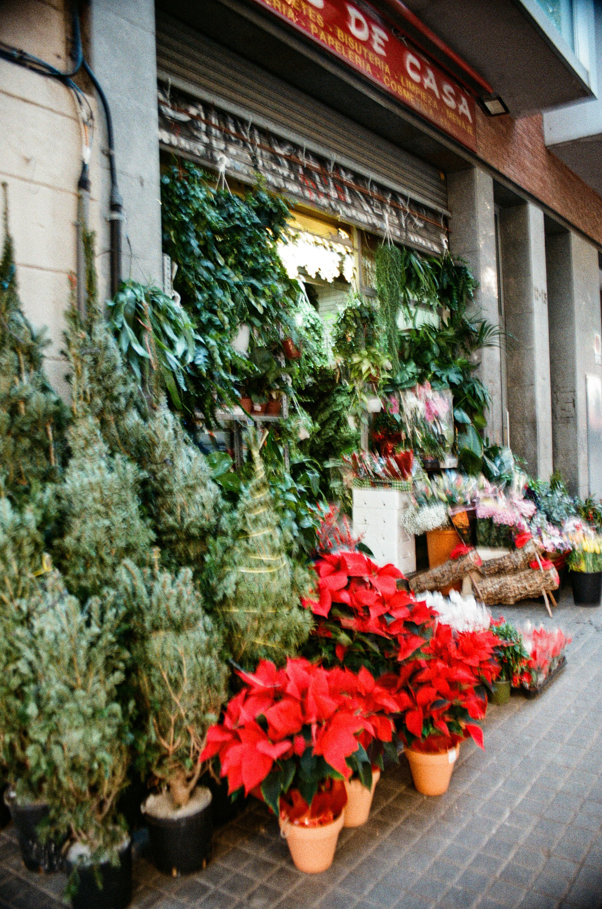 Barcelona — Light, Rhythm and Architecture. Wedding Stories — Professional Wedding Photography & Videography in Germany, Italy, Spain & all across Europe