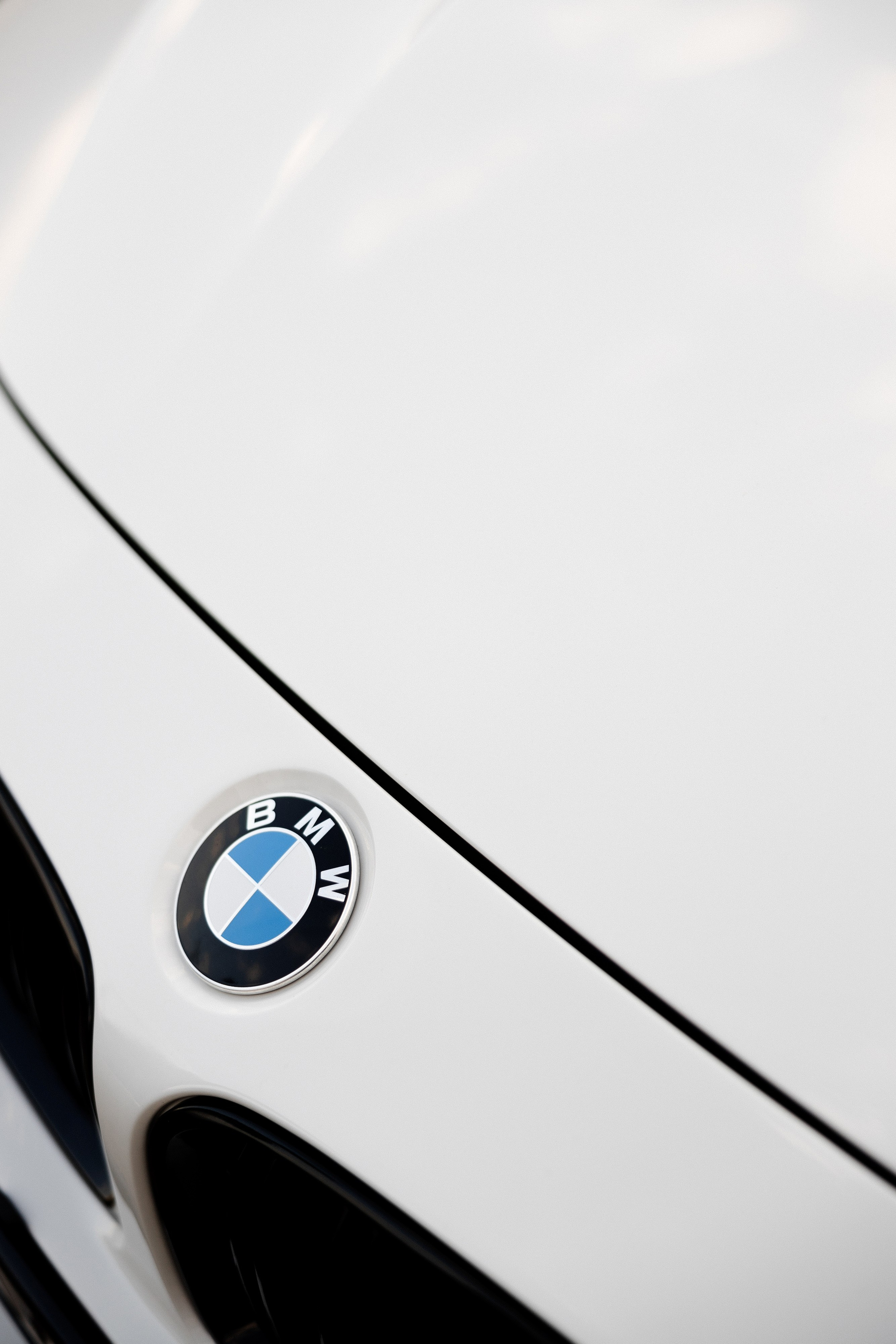 Максат и Самара. Азимжан Нуритдинходжаев — свадебный фотограф