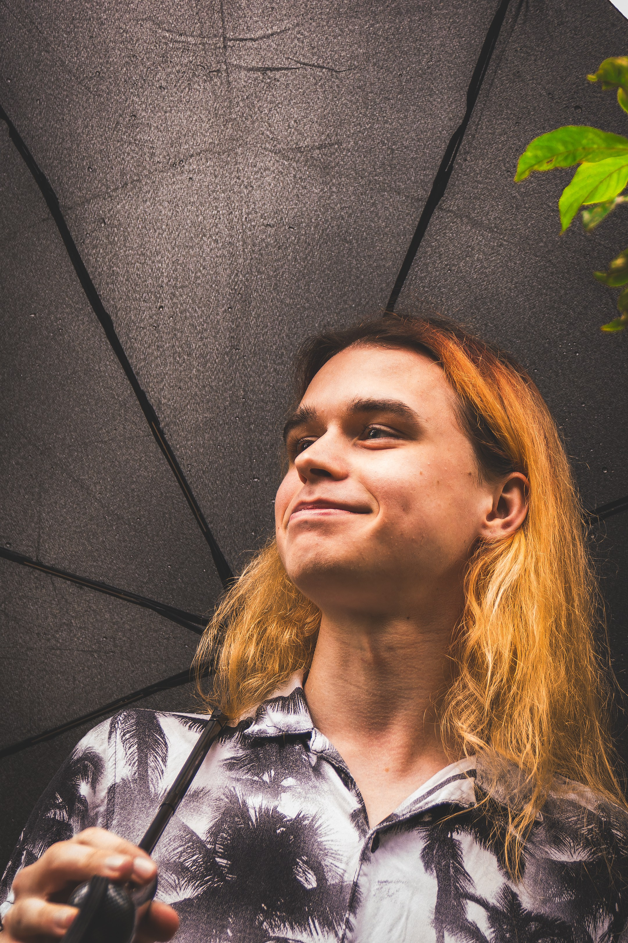 Mets, vihm ja jahedus (Dimitry). Nebula 25 — Fotod teie hingele