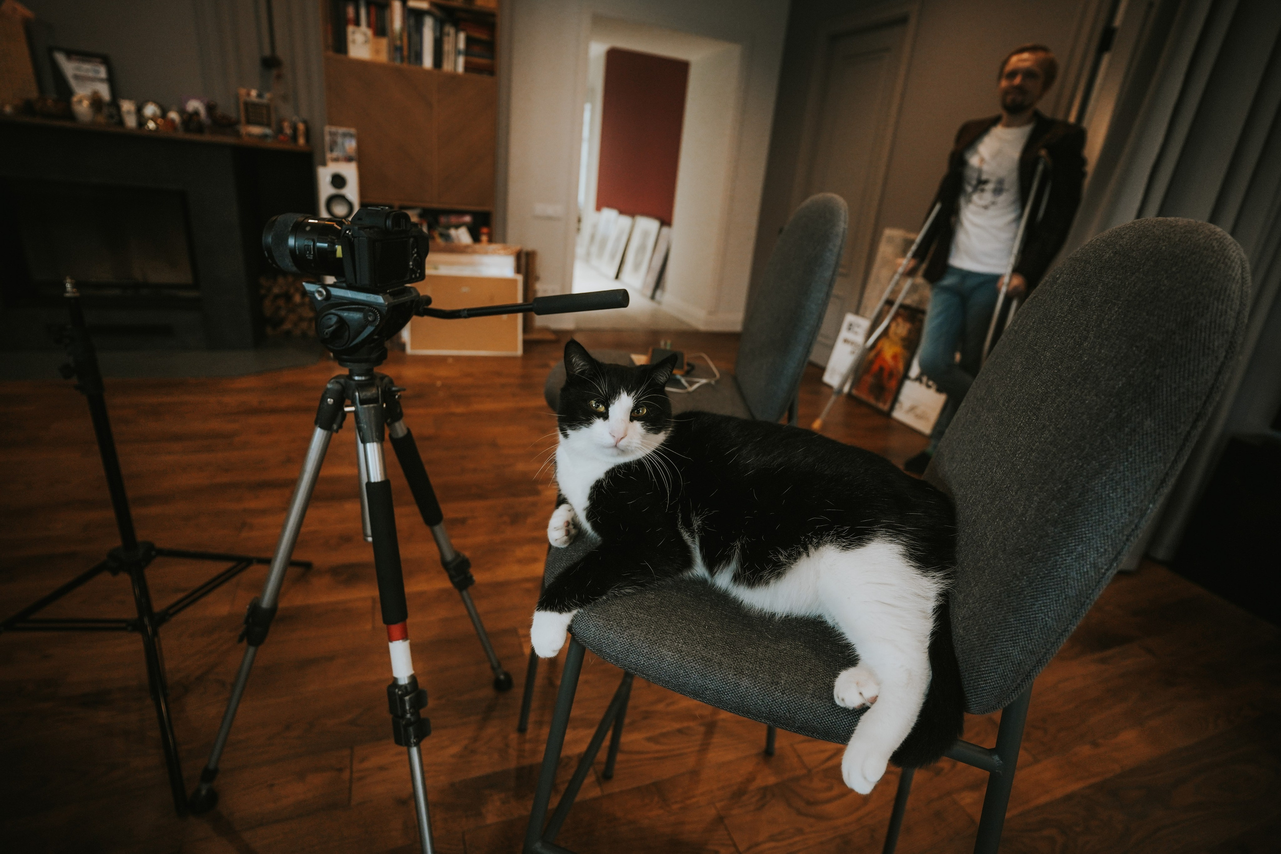 Кот шпедингера. Стрит-фотография, полная абсурда, идиотизма и красоты