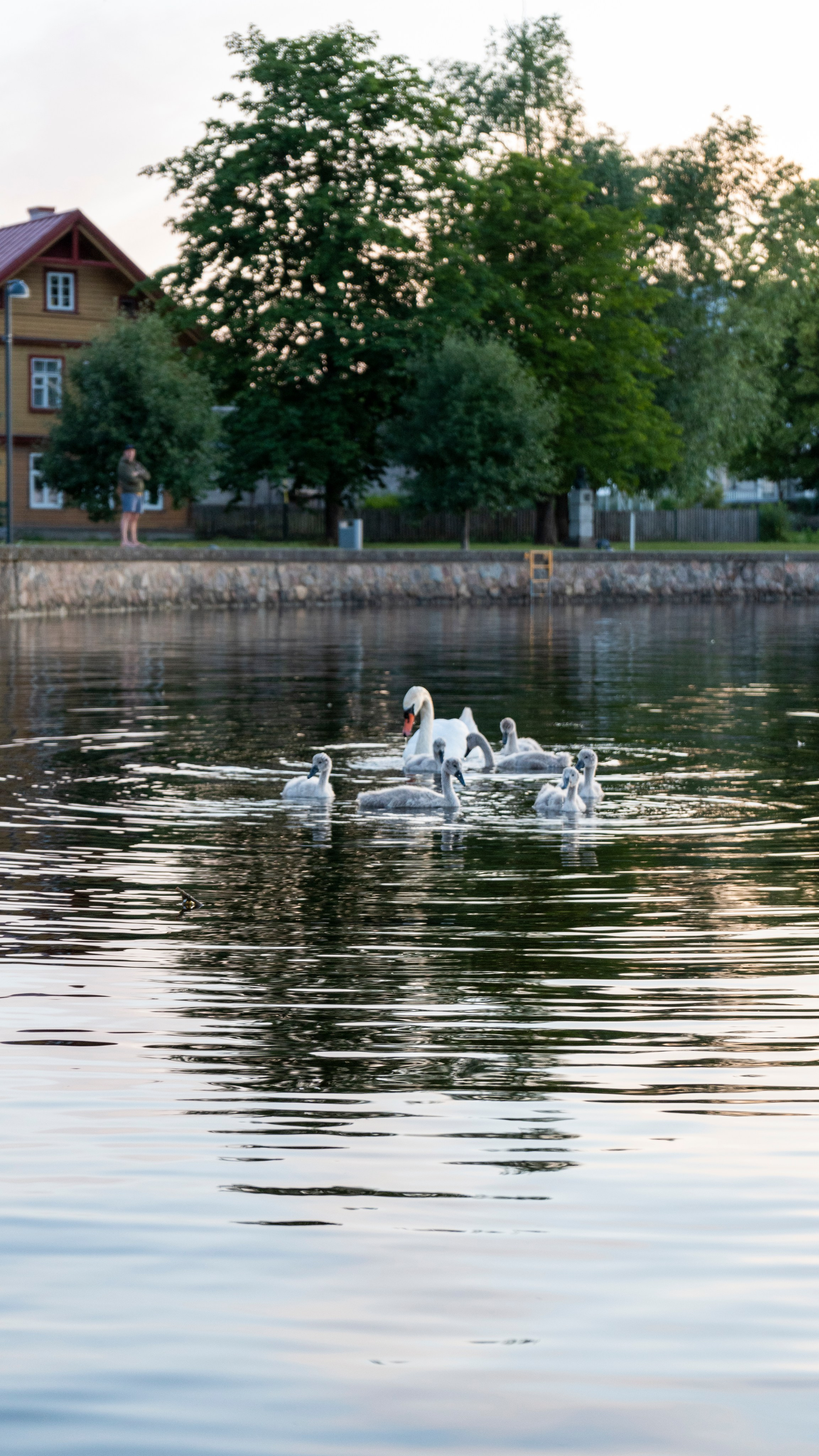 Whispers of Estonia. Photography | Videography | Marketing