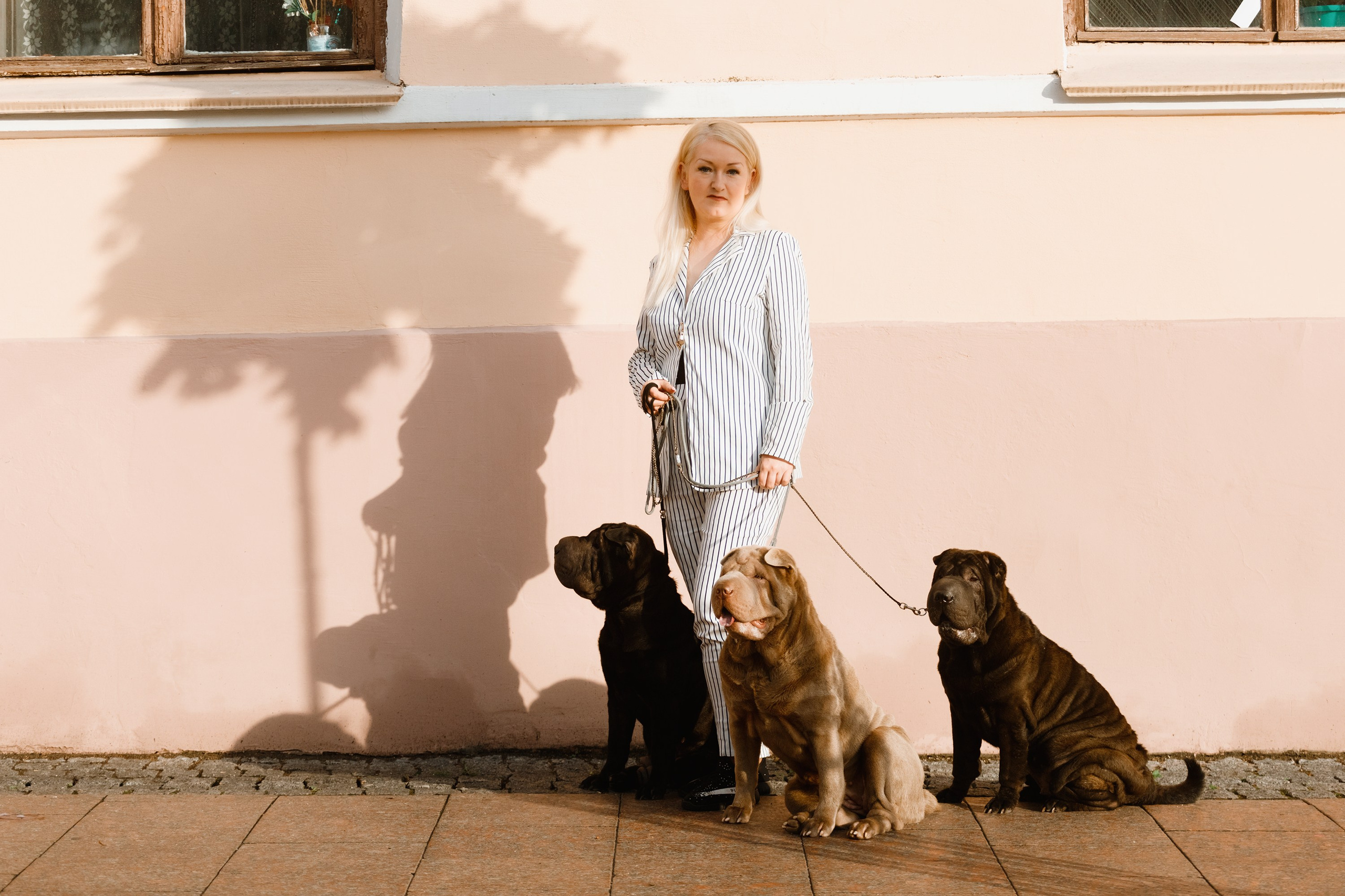 Shar pei in the city. Kaja | fotograf psów we Wrocławiu