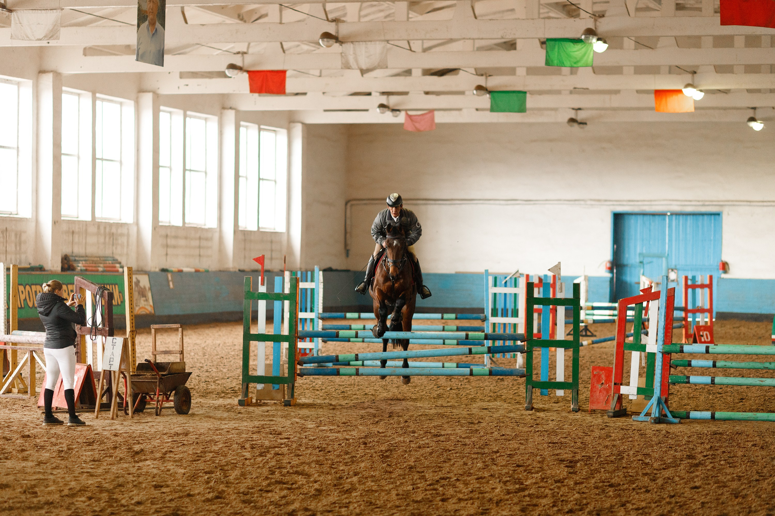 Winter show jumping in «Progress». Kaja | fotograf we Wrocławiu | ludzie i psy