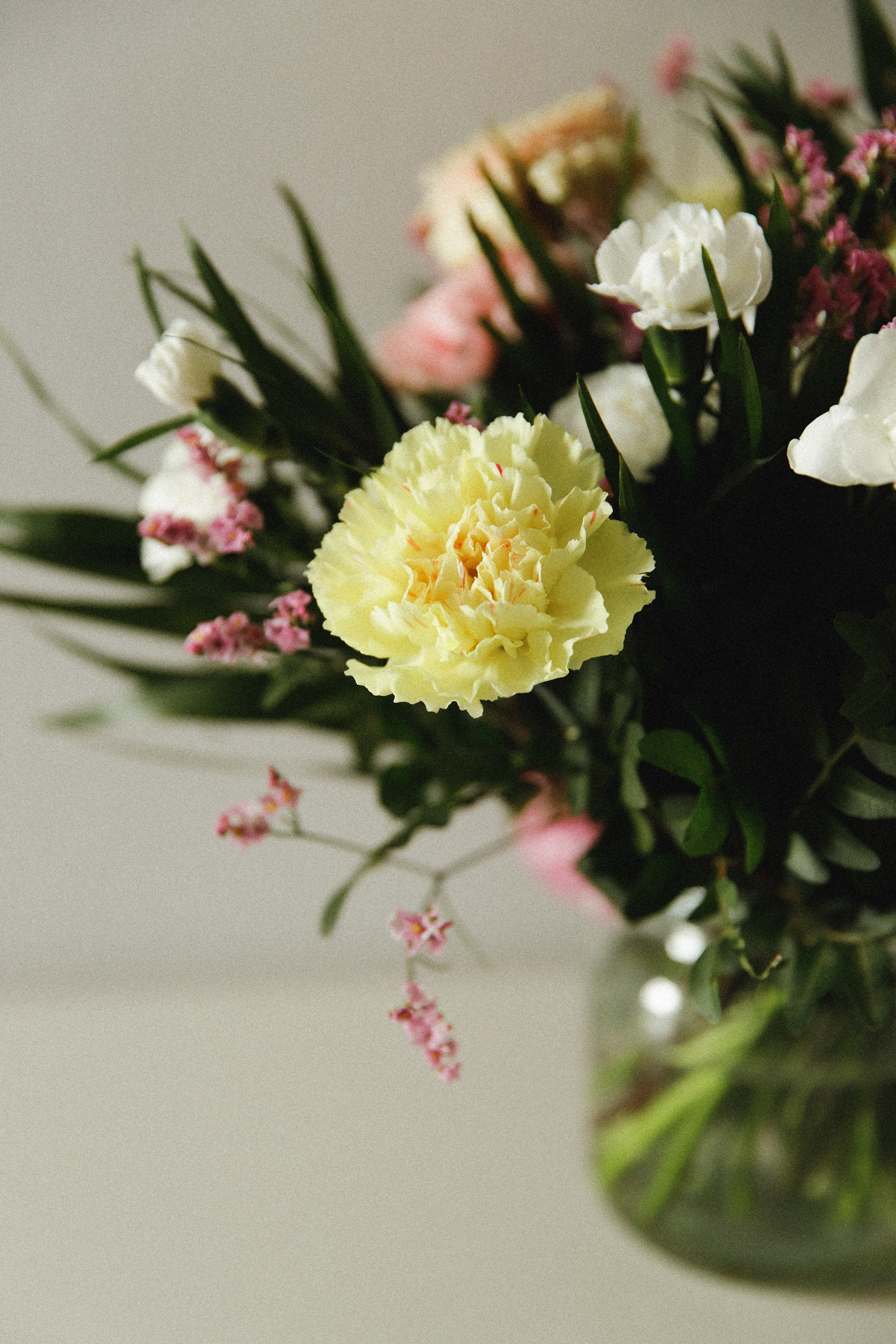 Diana. Kaja | fotograf psów we Wrocławiu