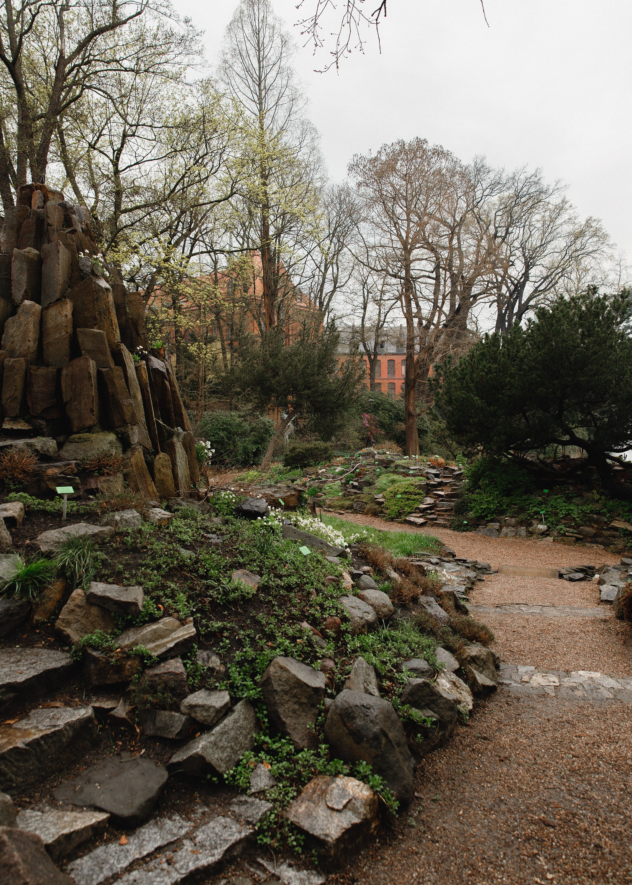 Botanical garden in Wroclaw. Kaja | fotograf we Wrocławiu | ludzie i psy