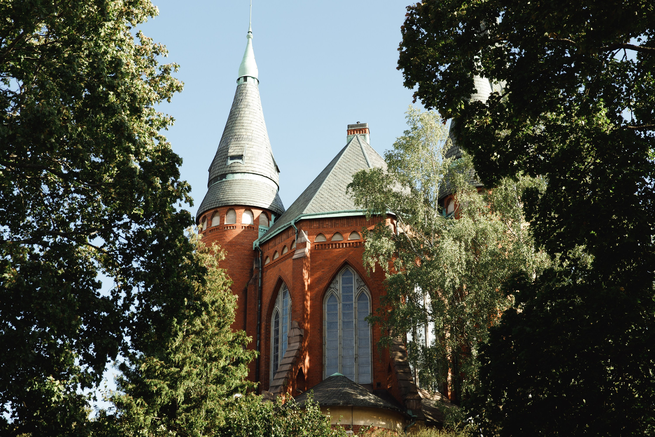 Turku. Kaja | fotograf psów we Wrocławiu