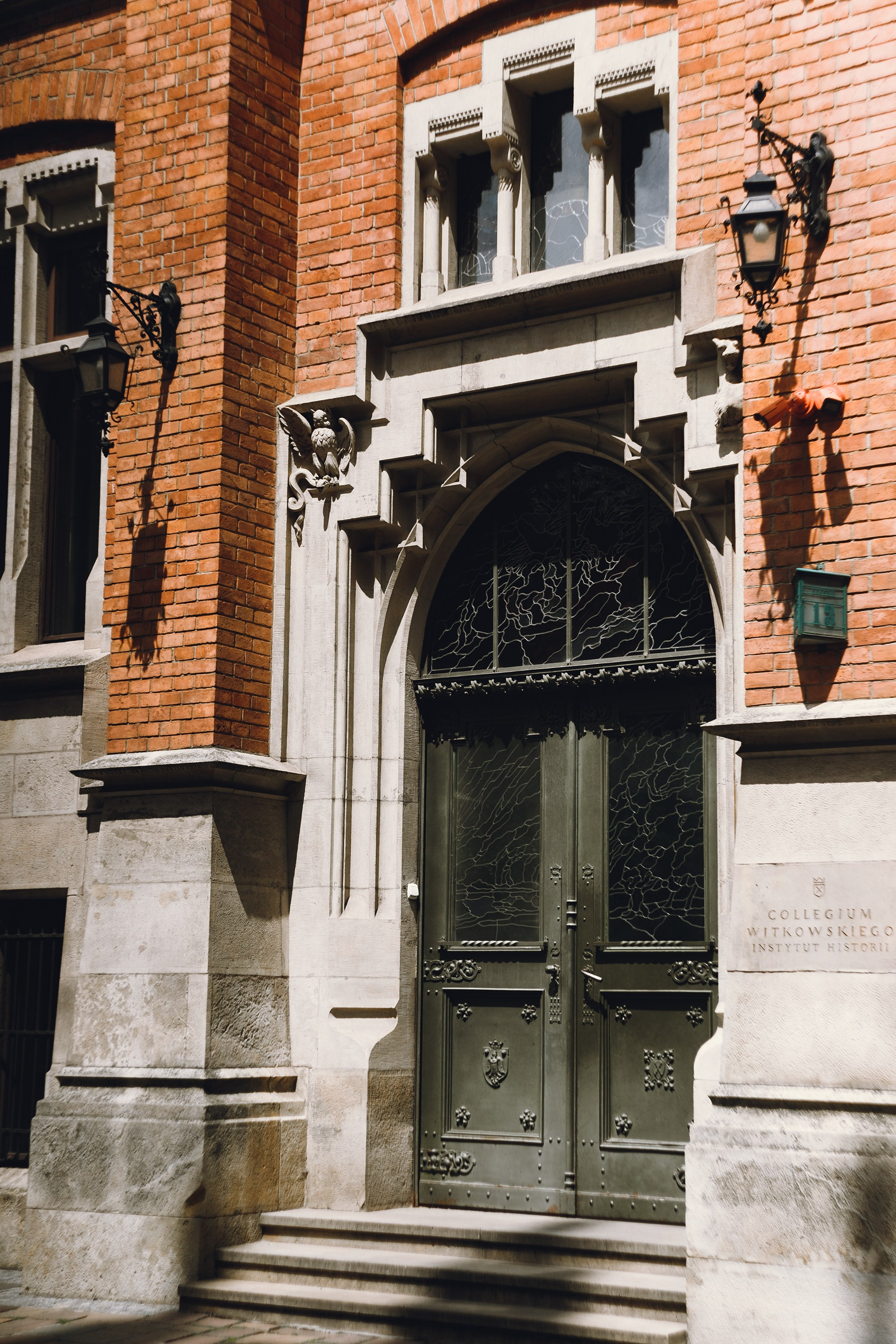 Krakow. Kaja | fotograf psów we Wrocławiu