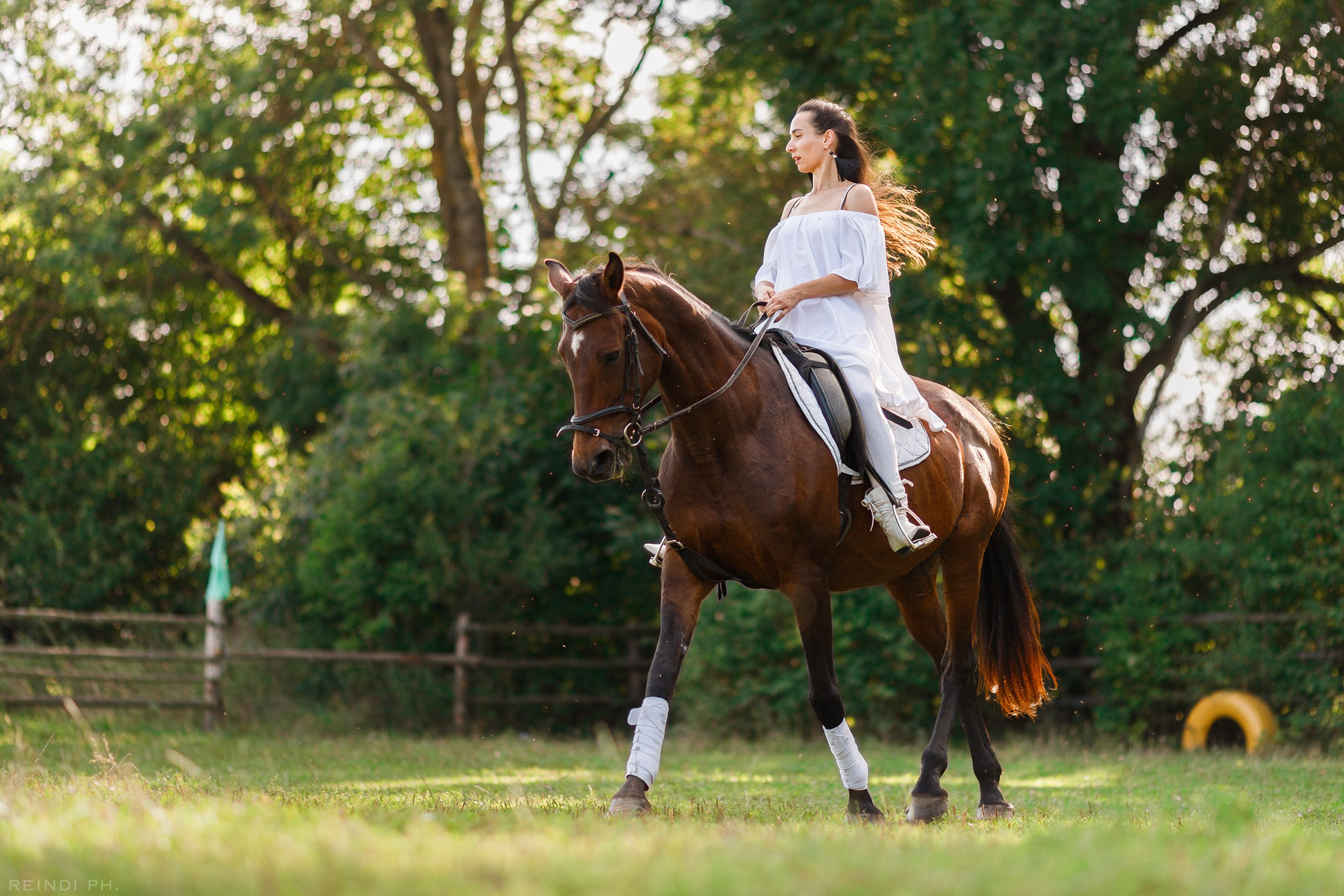 Horse show in the village. Kaja | fotograf we Wrocławiu | ludzie i psy