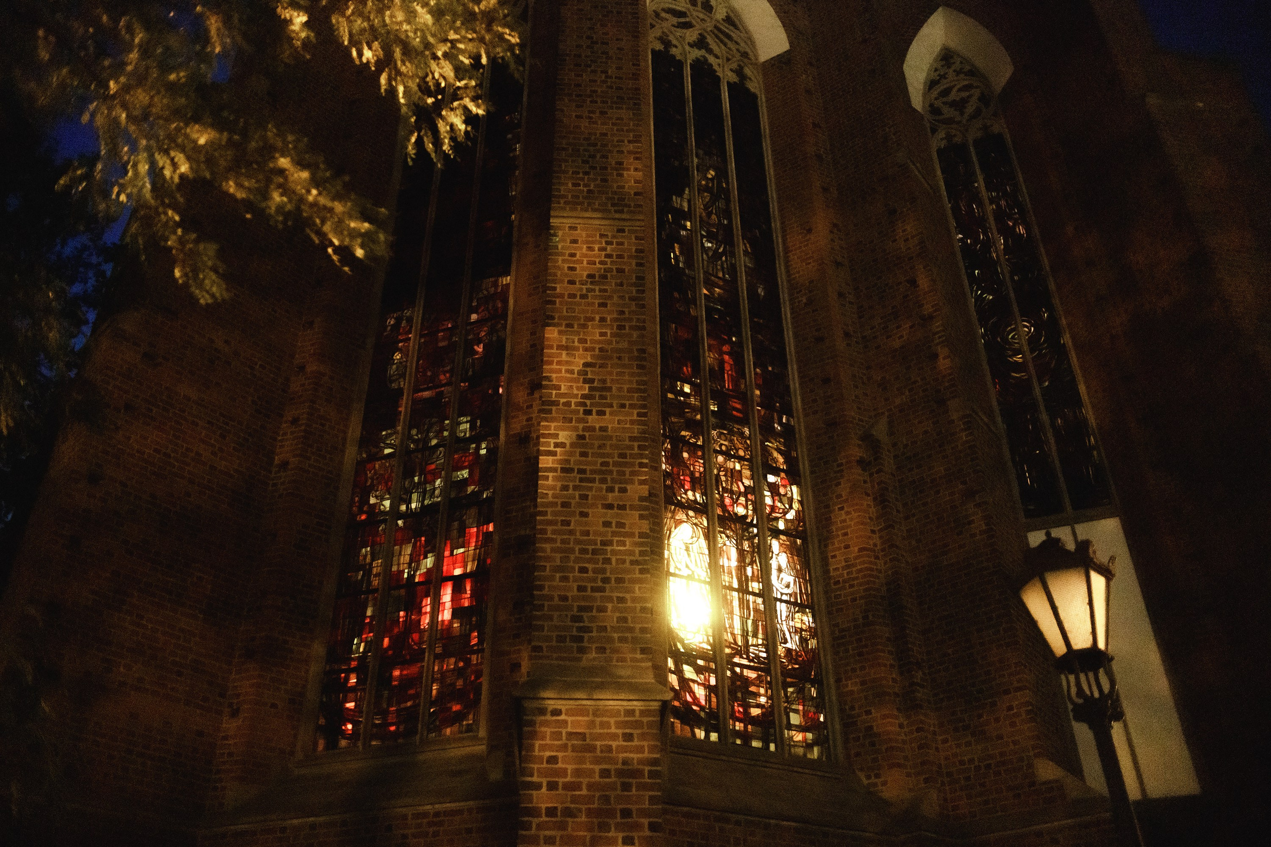 Nastya. Kaja | fotograf psów we Wrocławiu