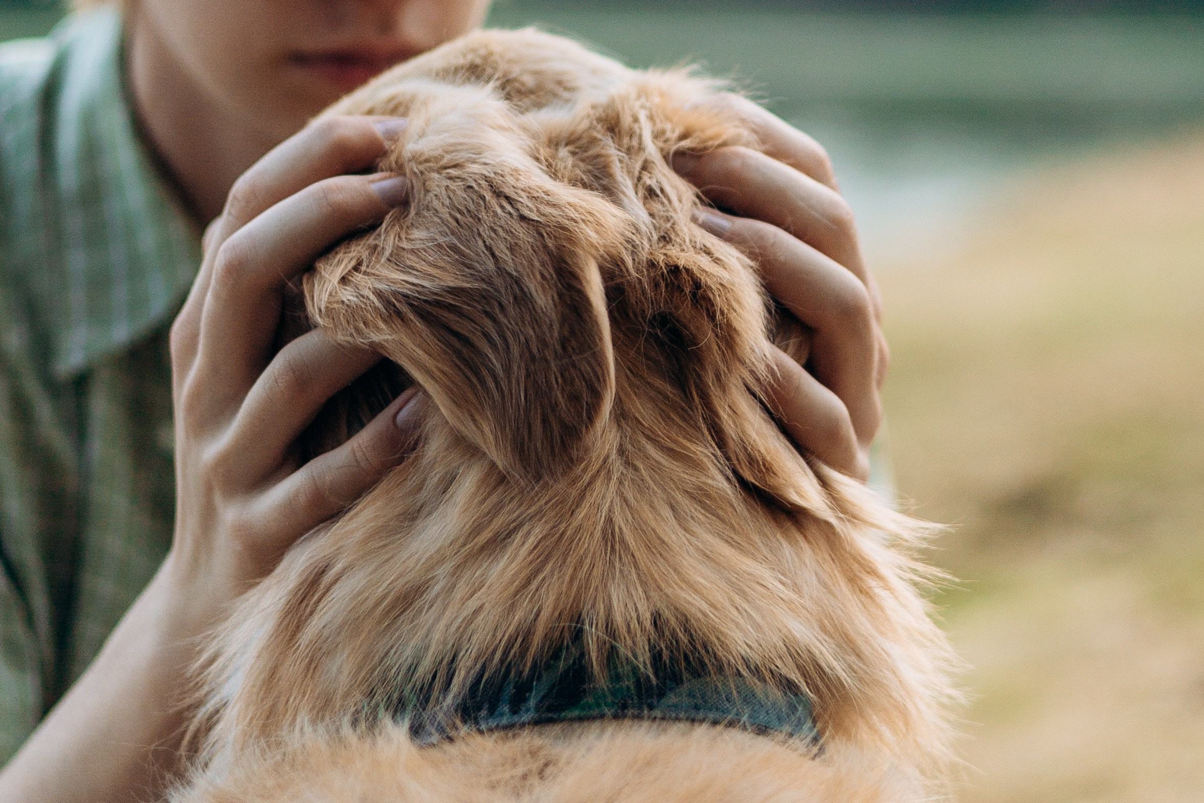 Глеб и Инди. Фотограф-анималист | Белград