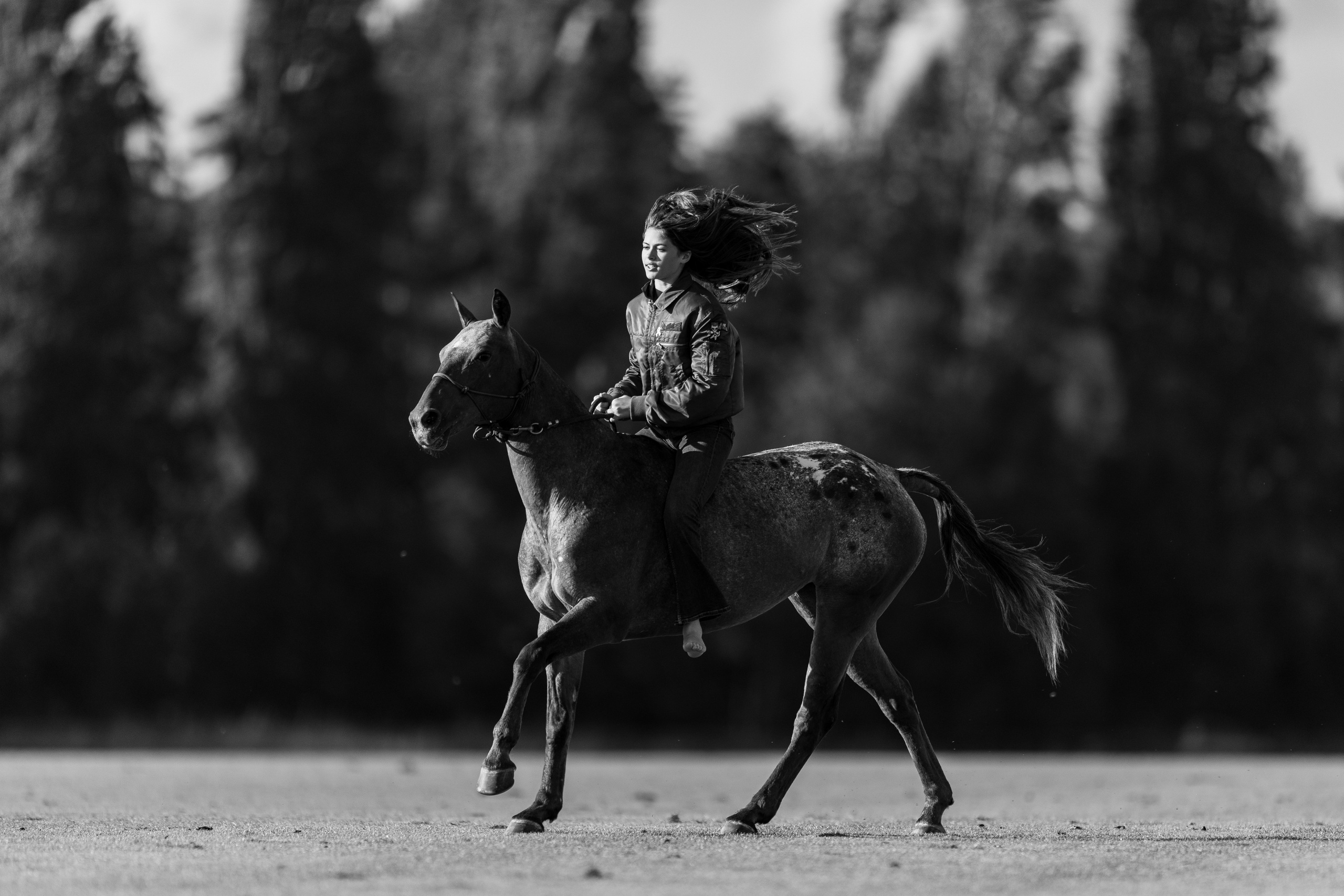 Photo shoot with horses