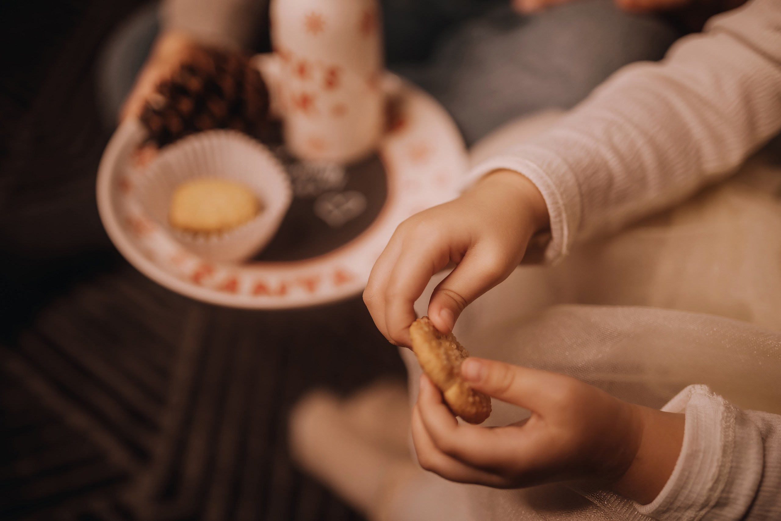 25.11.2023 Christmas Photoshoot. Wedding family event photographer in Chicago Nick Yushevich