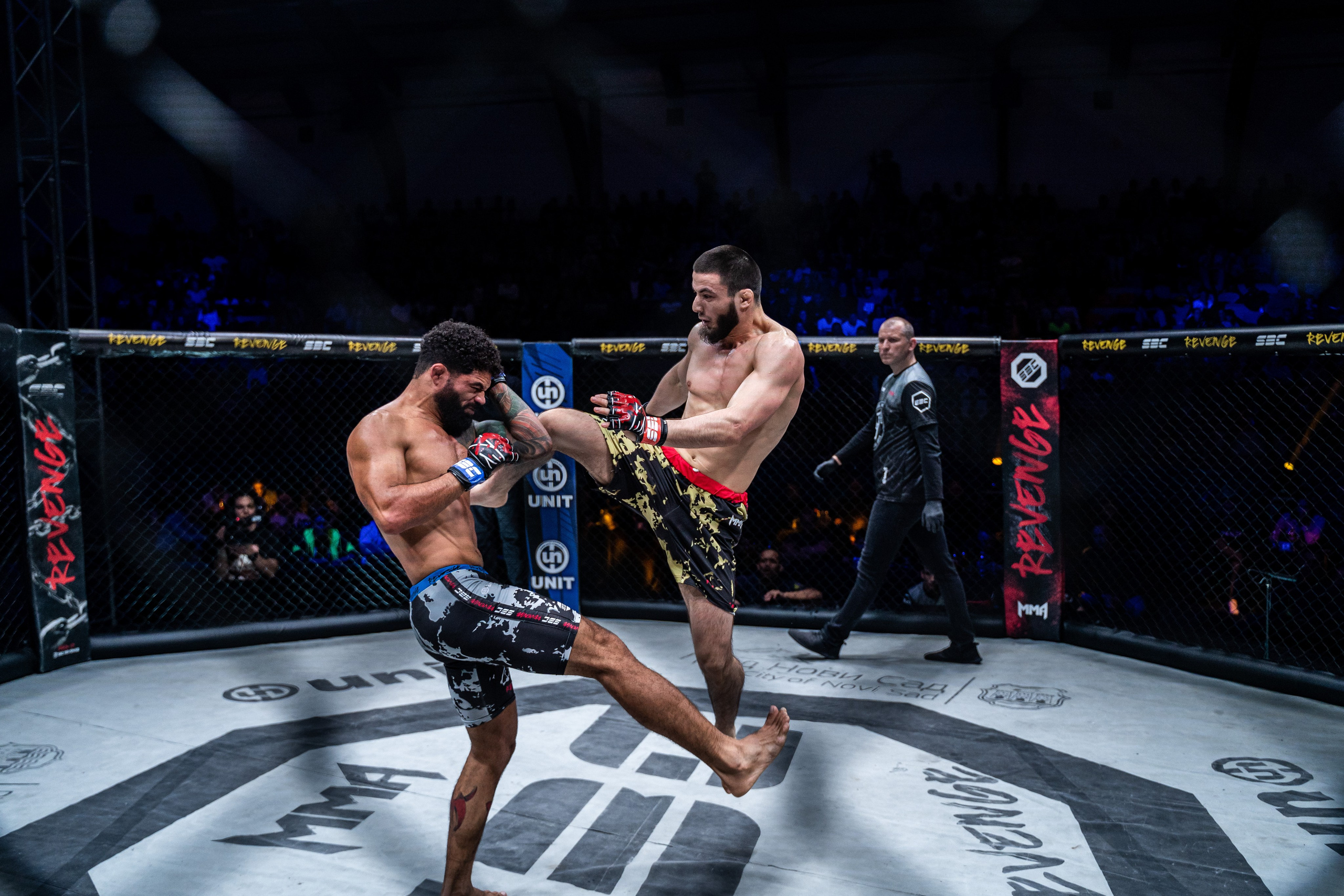 Sport. Wedding photography