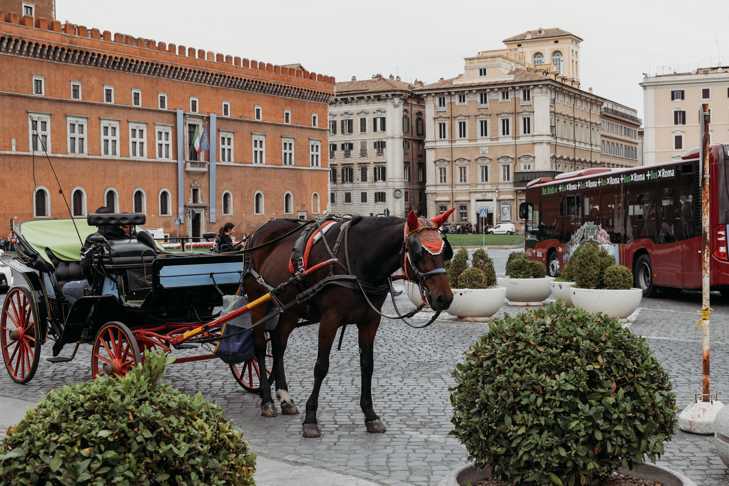 To Rome, to the Vatican!!!