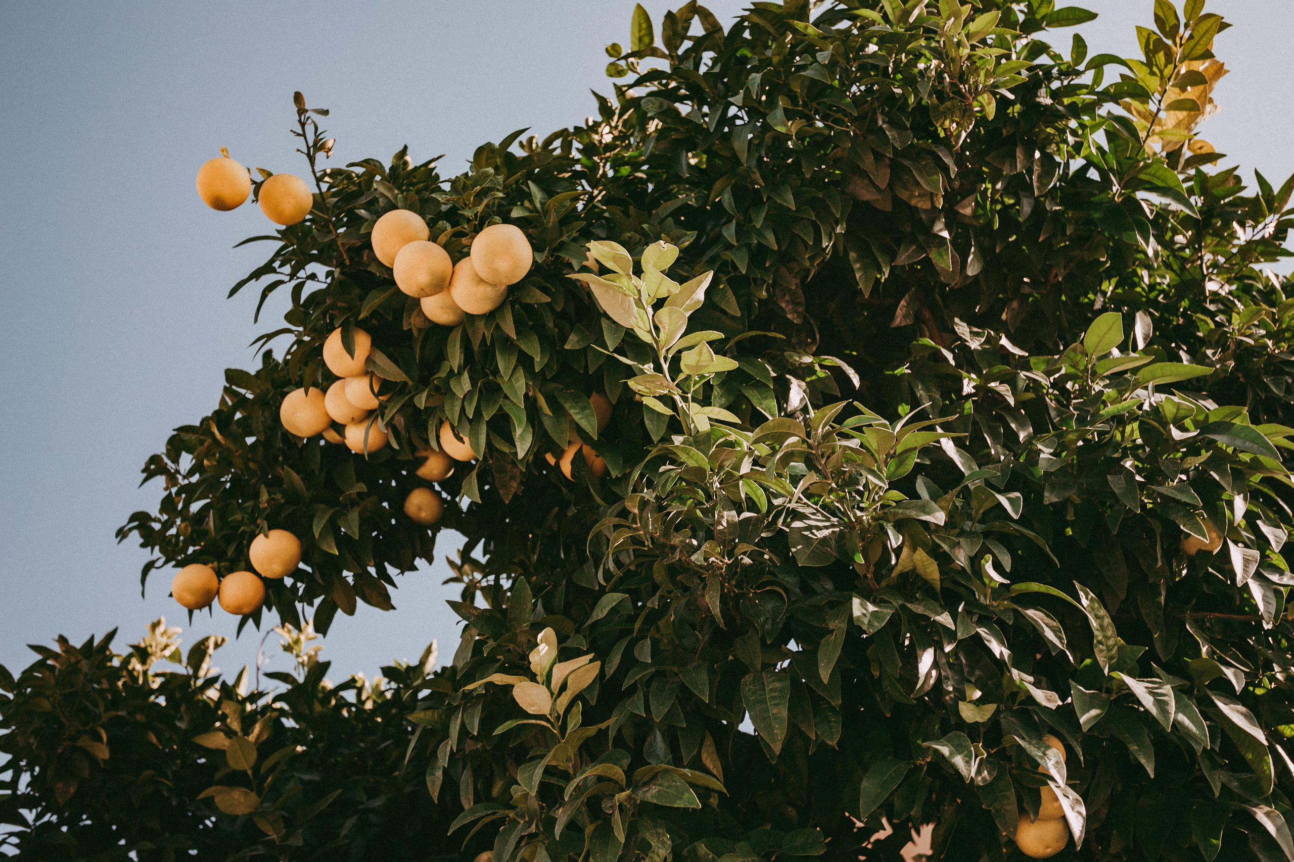 The atmosphere of Lake Garda