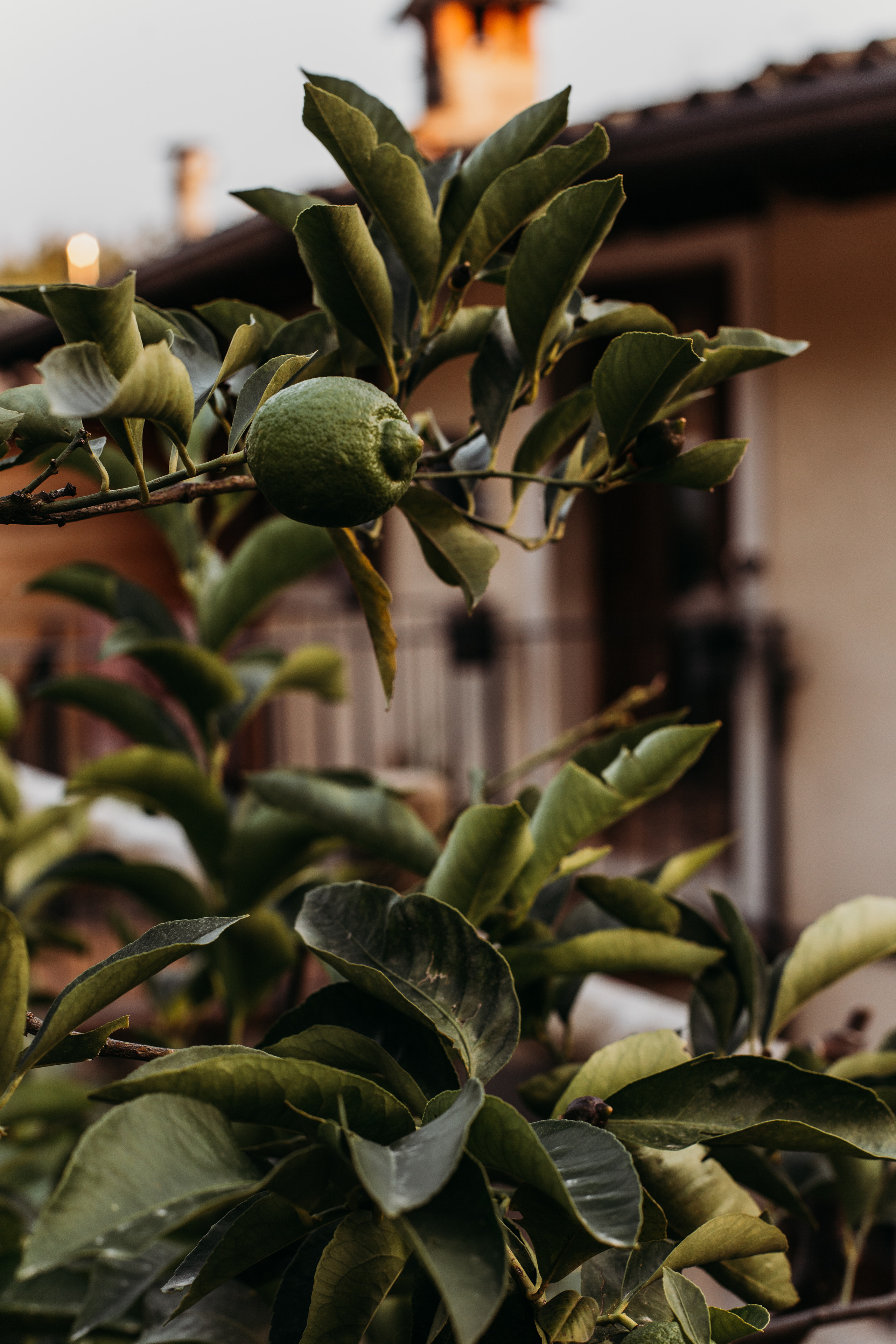 The atmosphere of Lake Garda