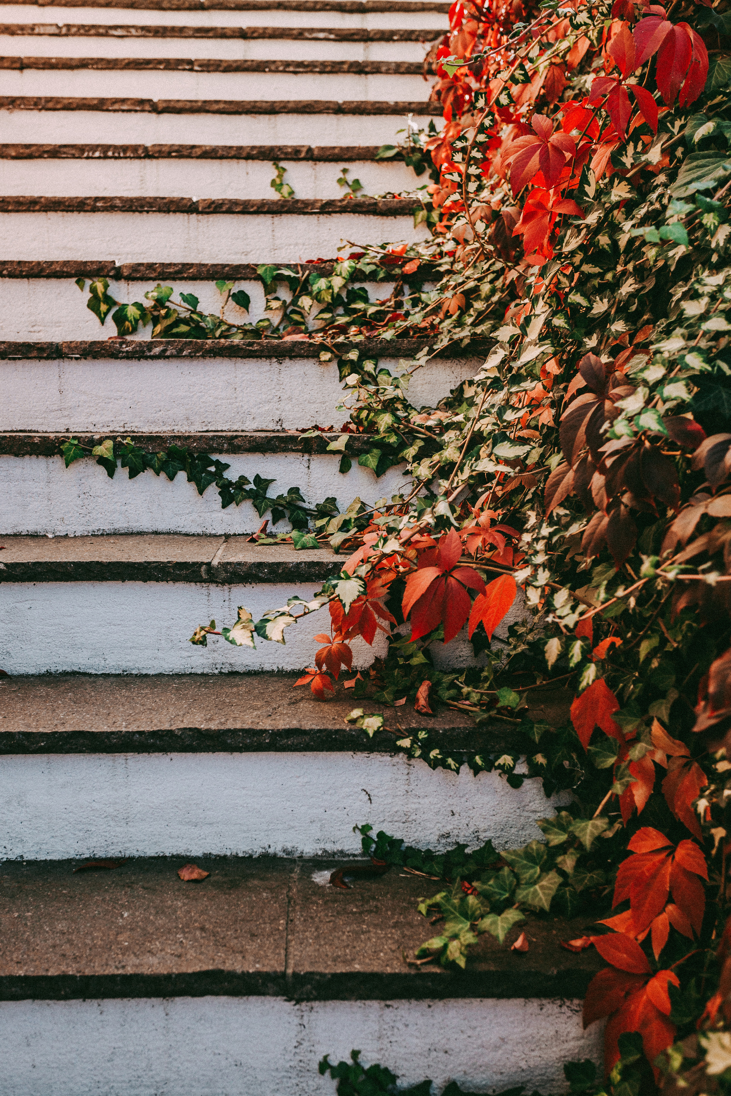The atmosphere of Lake Garda