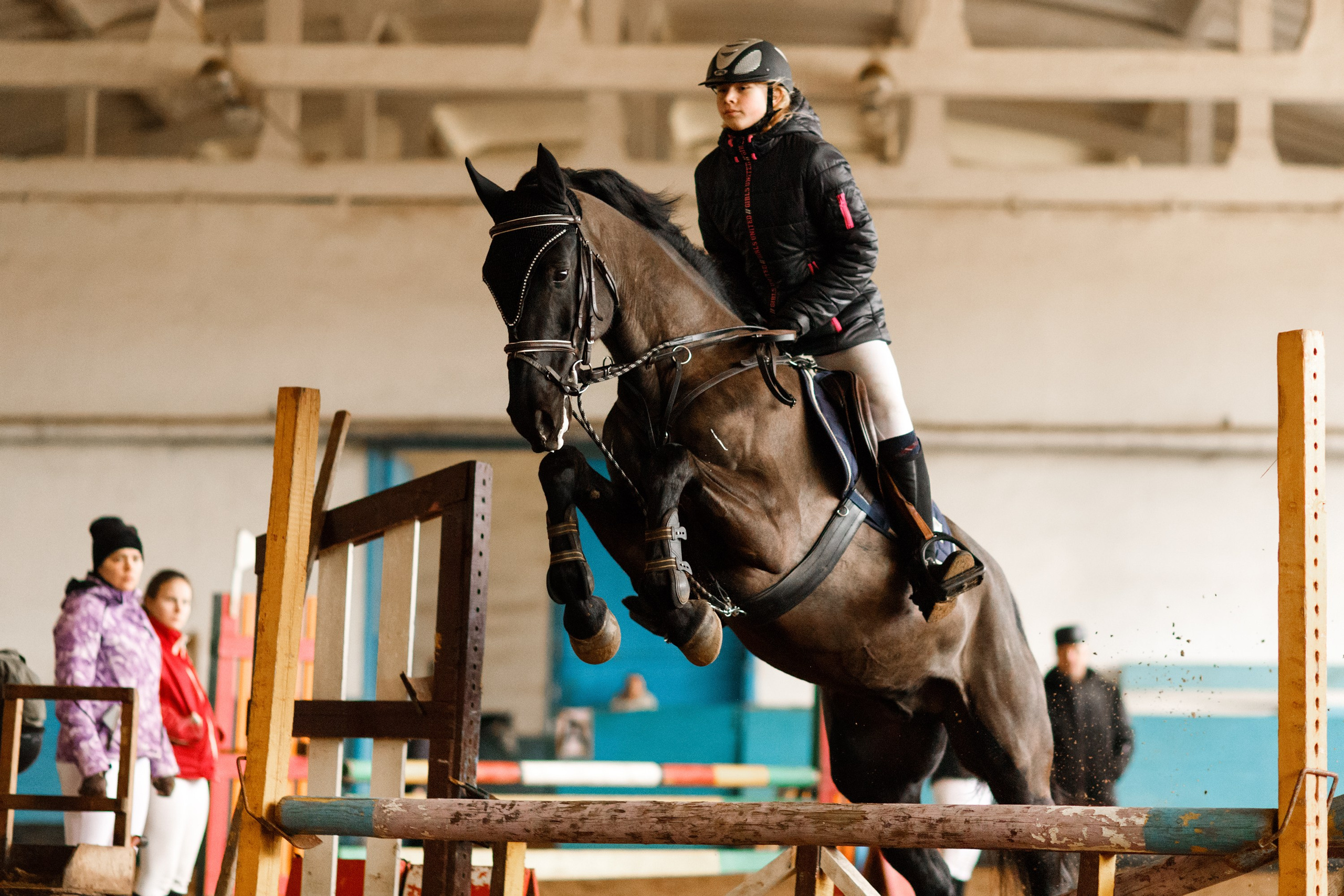 Winter show jumping in «Progress». Kaja | fotograf we Wrocławiu | ludzie i psy