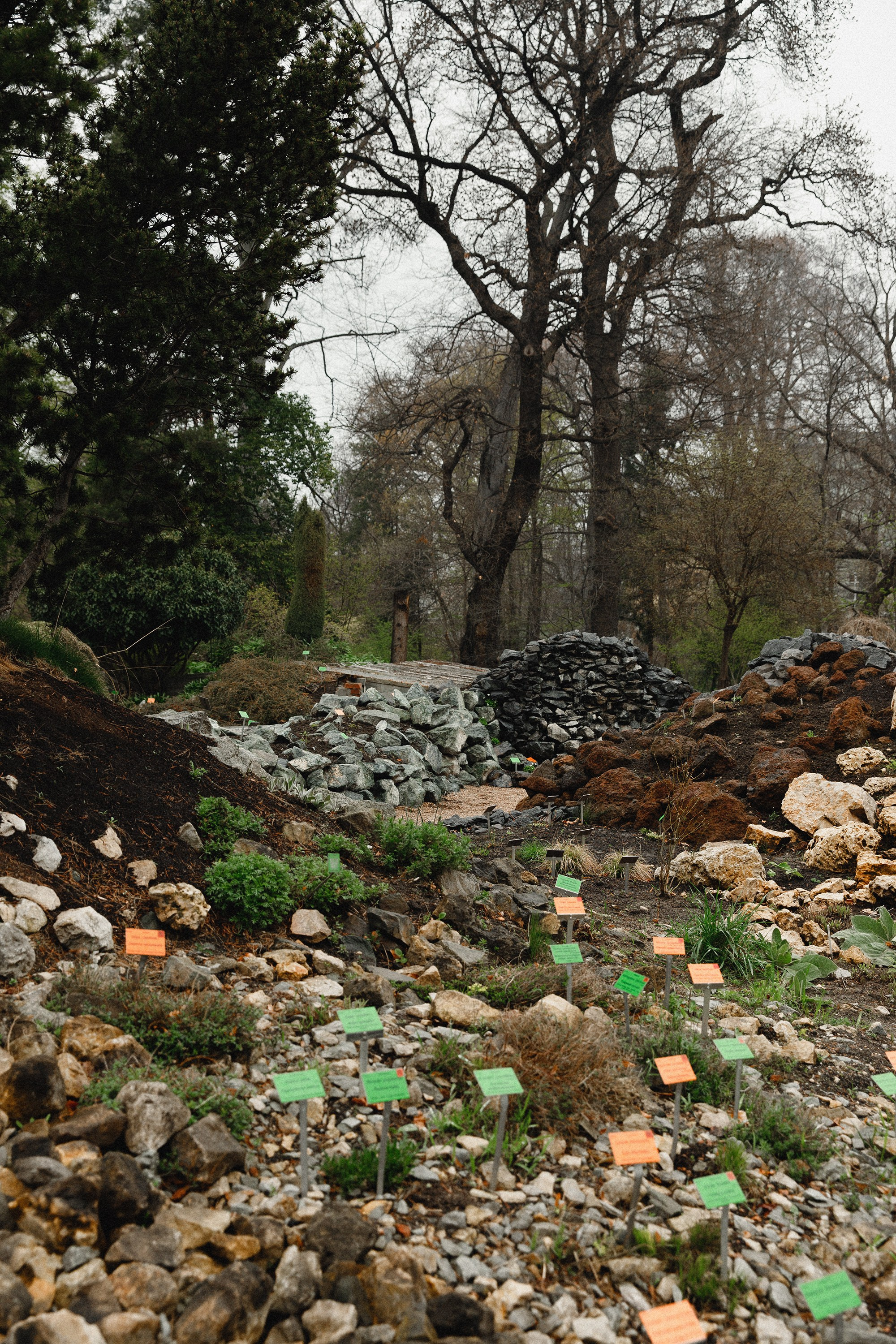 Botanical garden in Wroclaw. Kaja | fotograf we Wrocławiu | ludzie i psy