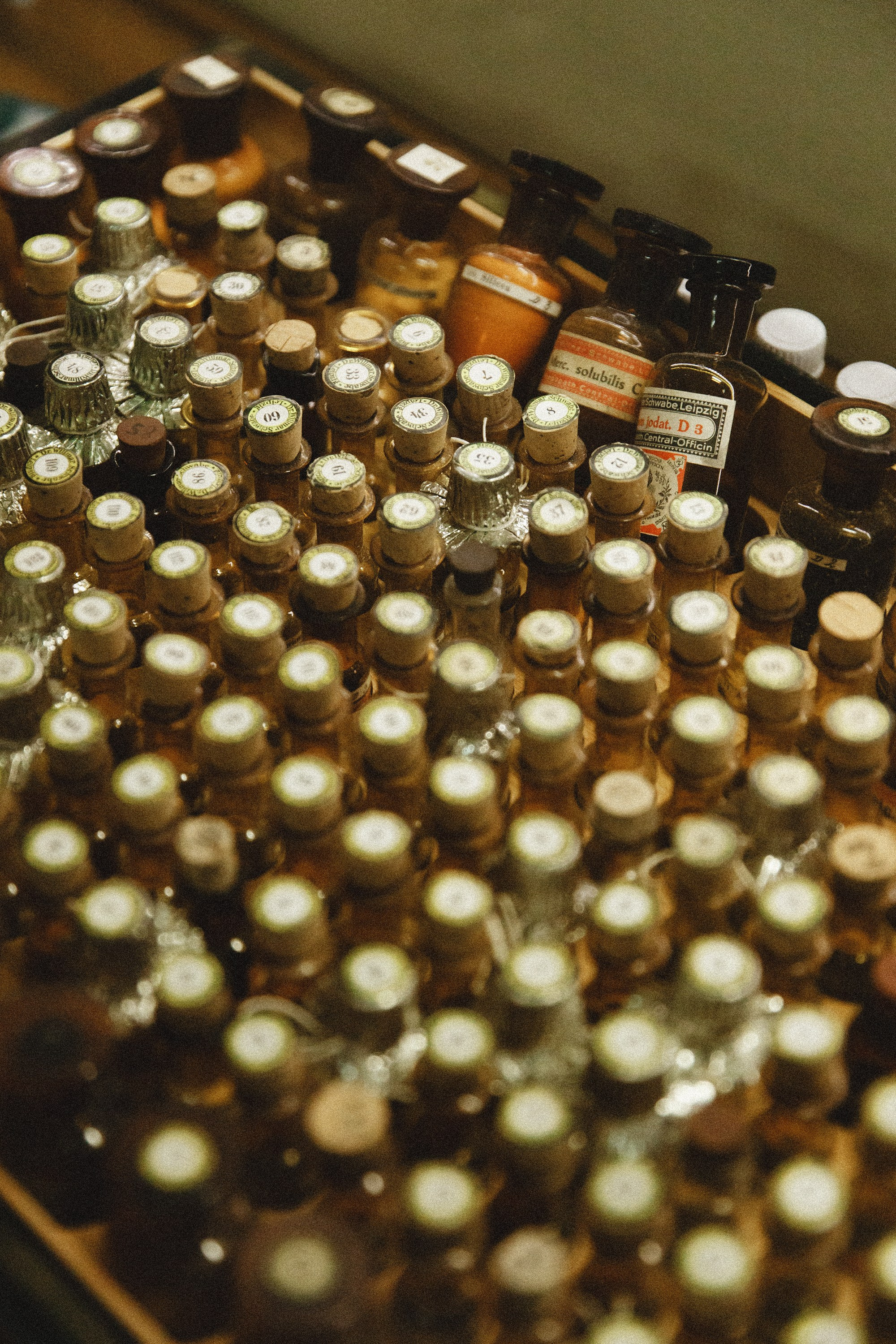 Museum of farmacy in Wroclaw. Kaja | fotograf we Wrocławiu | ludzie i psy