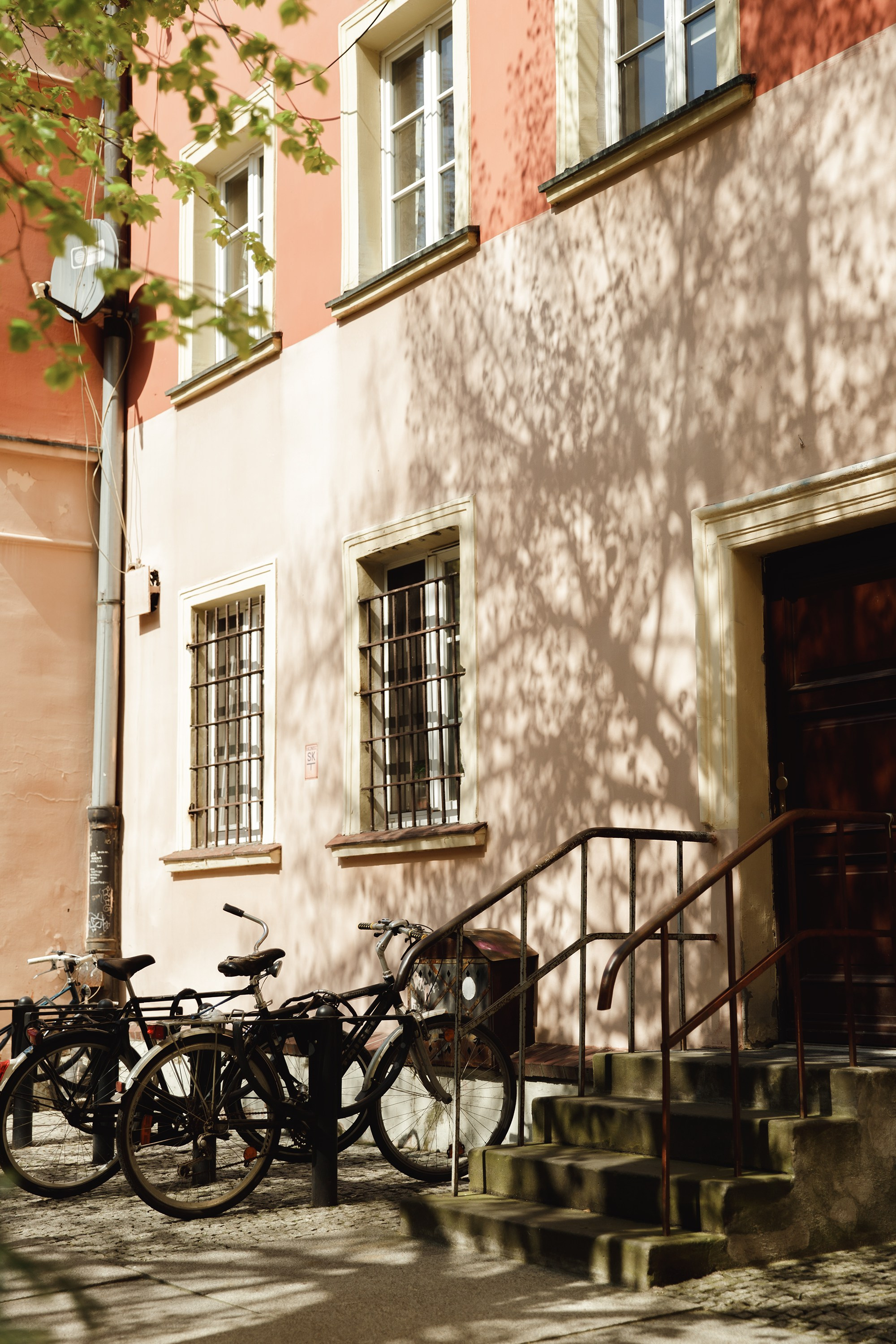 Wroclaw | the best ones. Kaja | fotograf psów we Wrocławiu