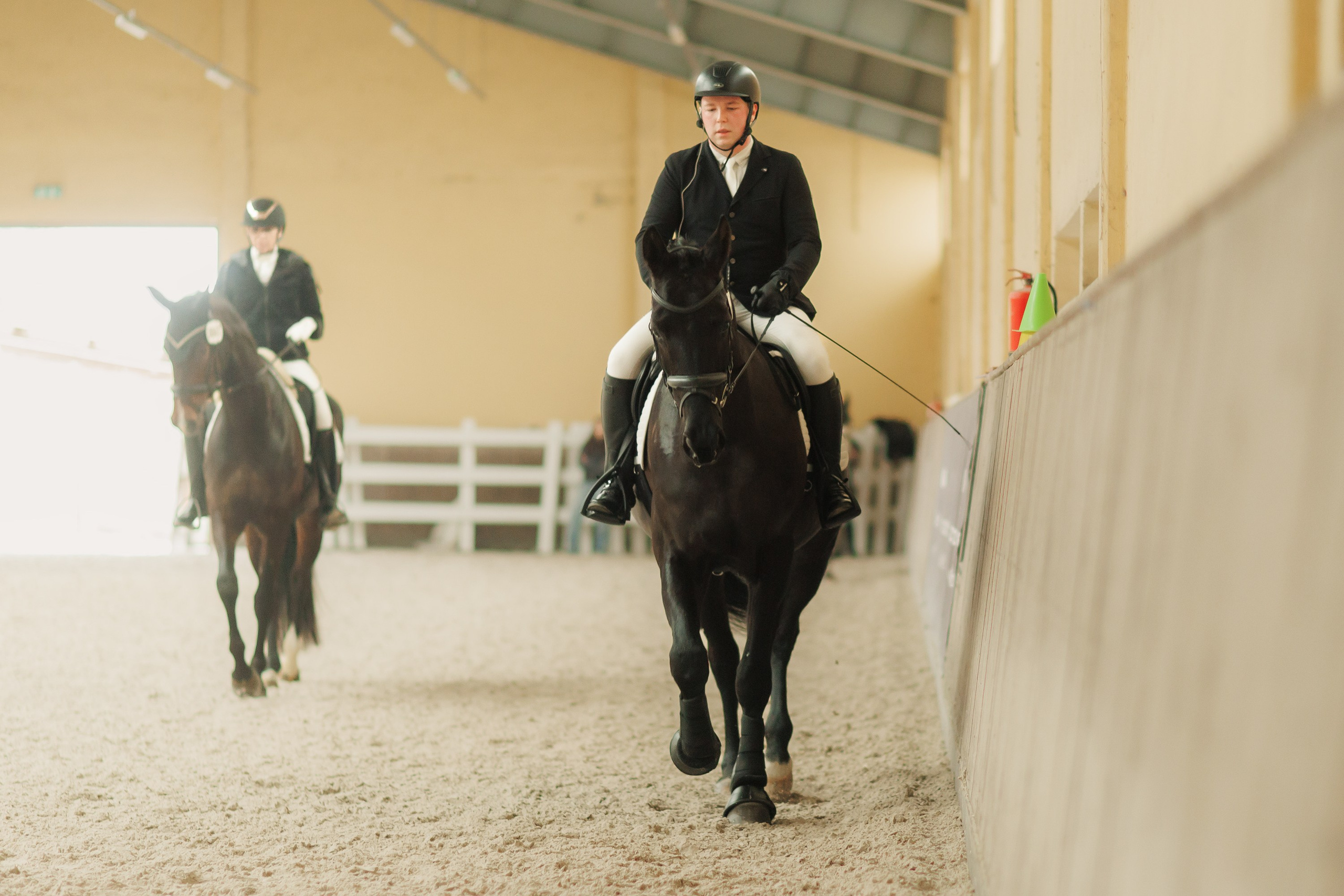 Partynice dressage \ feb'25. Kaja | fotograf we Wrocławiu | ludzie i psy