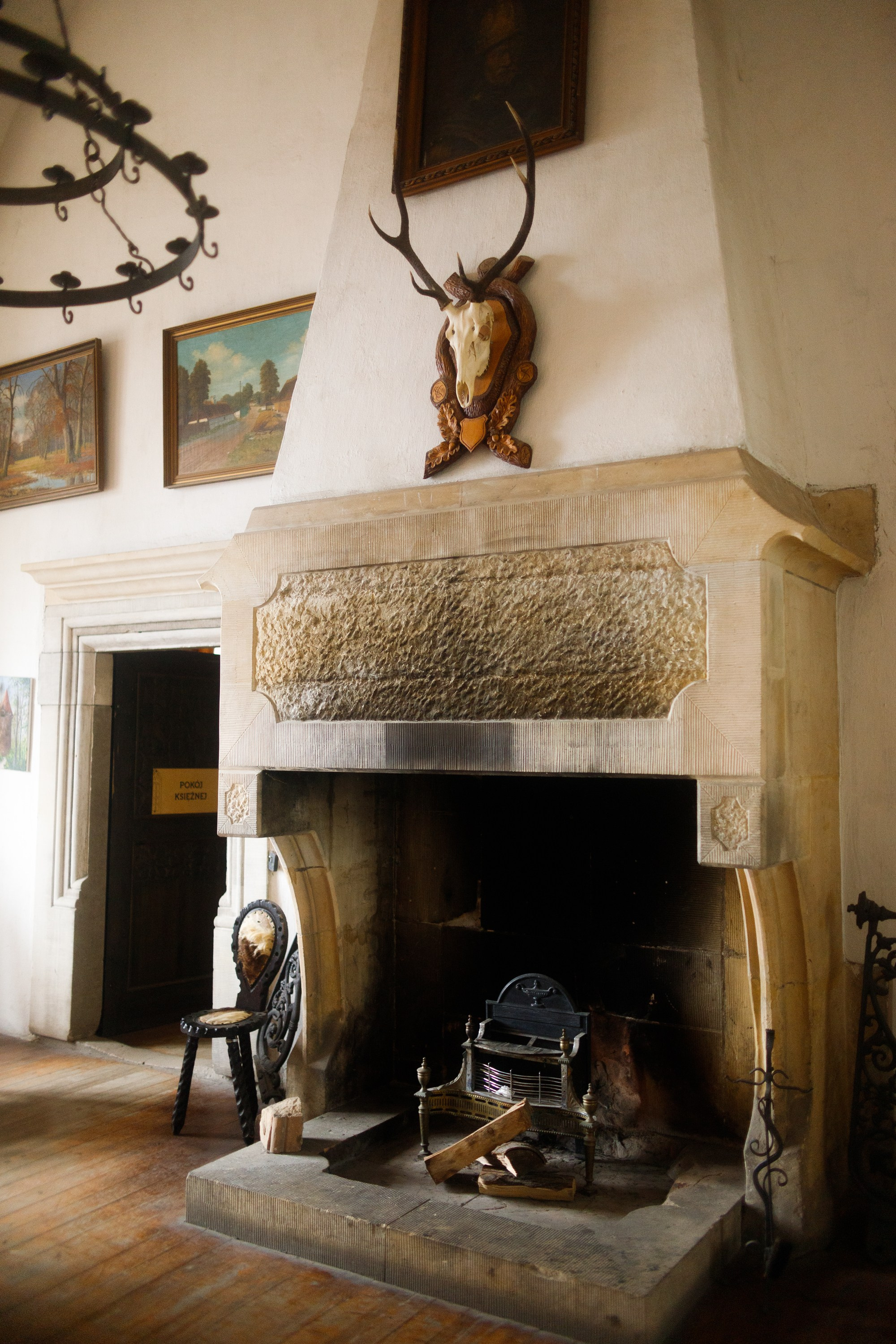 Zamek Grodziec. Kaja | fotograf psów we Wrocławiu