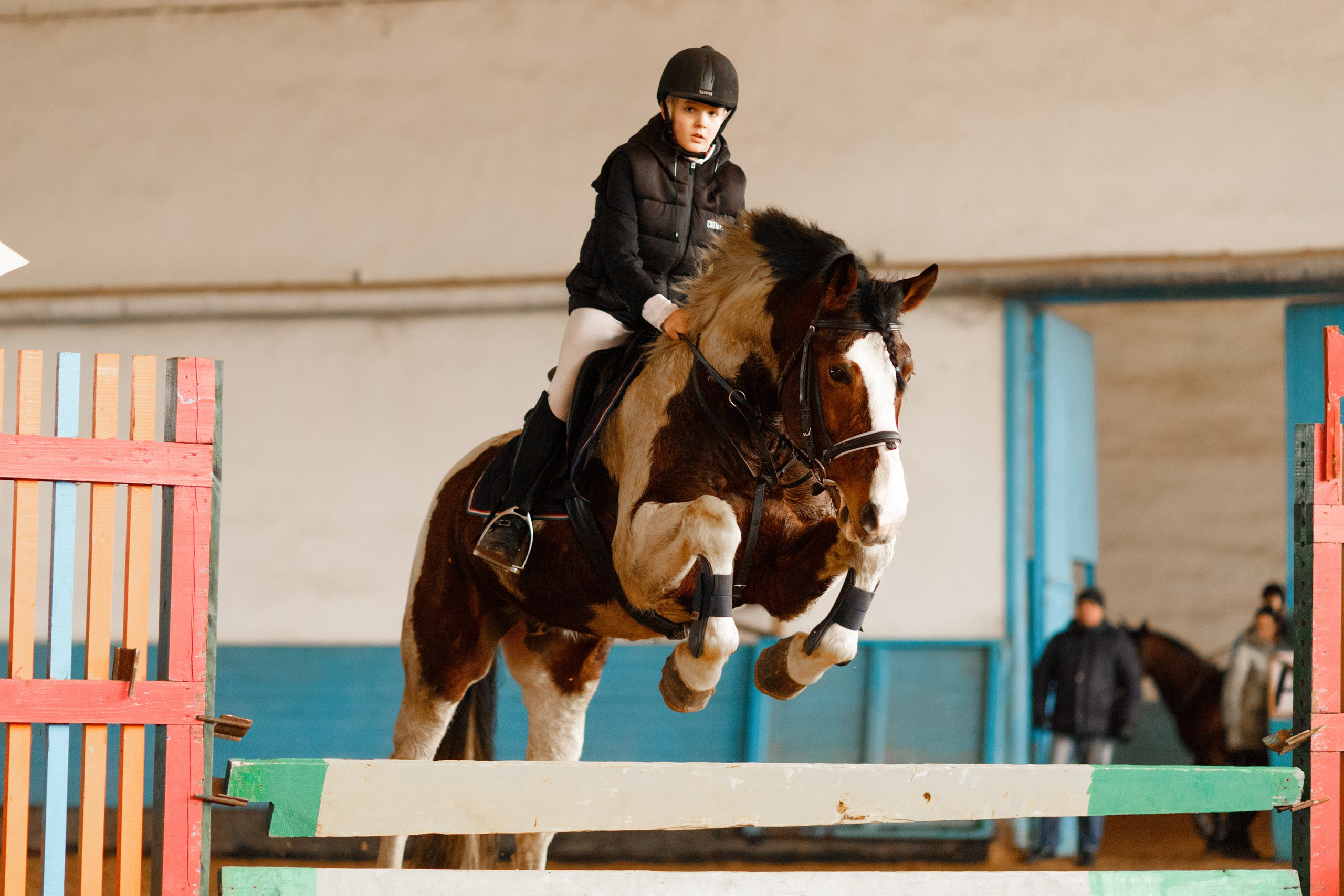 Winter show jumping in «Progress». Kaja | fotograf we Wrocławiu | ludzie i psy